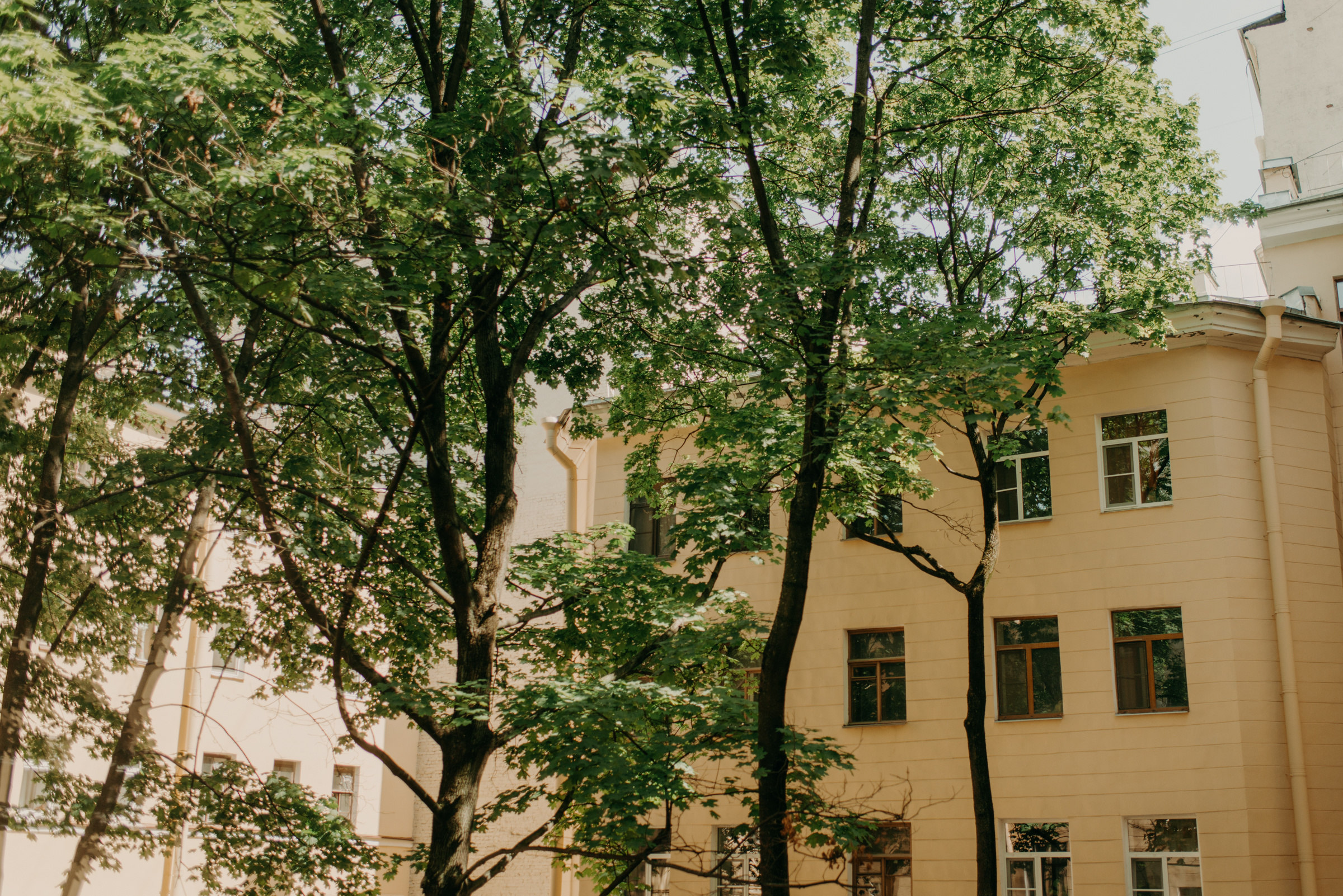 Небольшая семейная свадьба Валерии и Никиты. Свадебный фотограф в Санкт-Петербурге Венера Ахметова