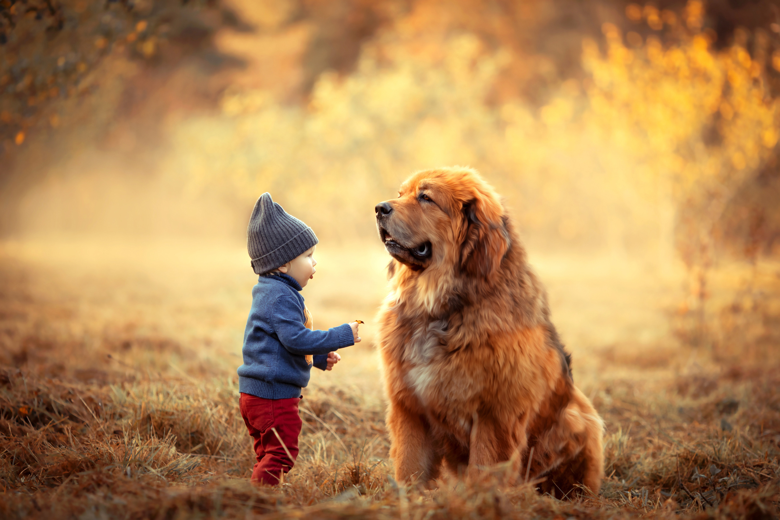 Семейный и детский фотограф в Москве и по всей России Храпова Юлия