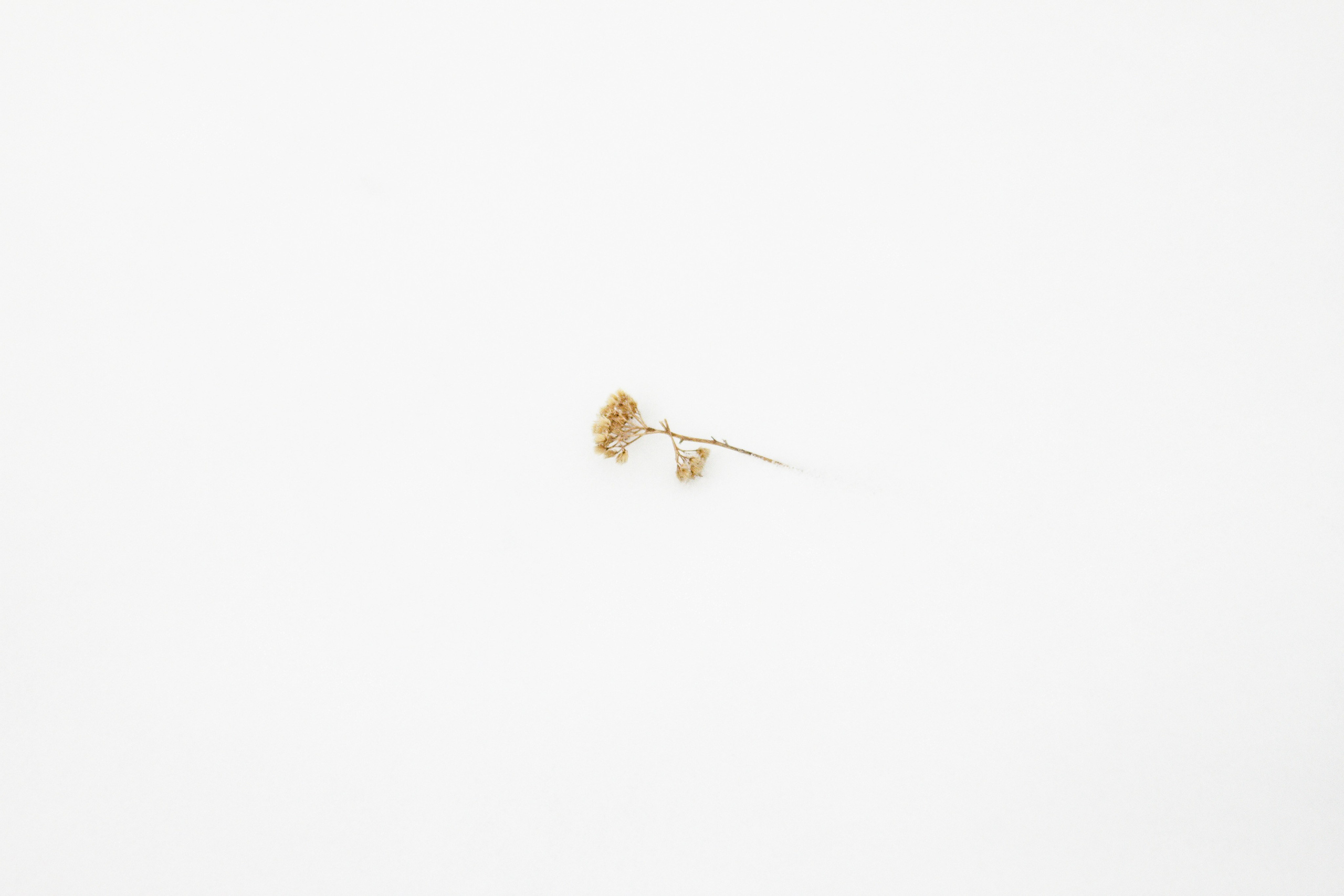 Этот прекрасный мир