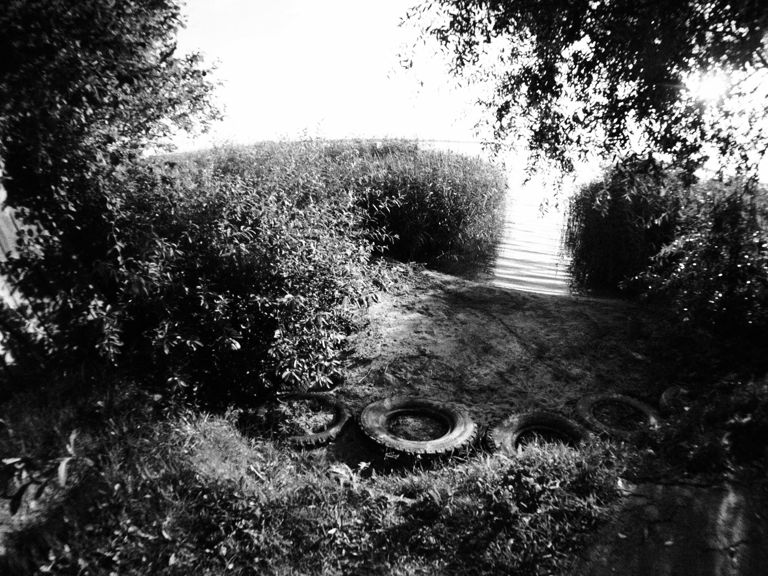 Промежуточные моменты (2023)