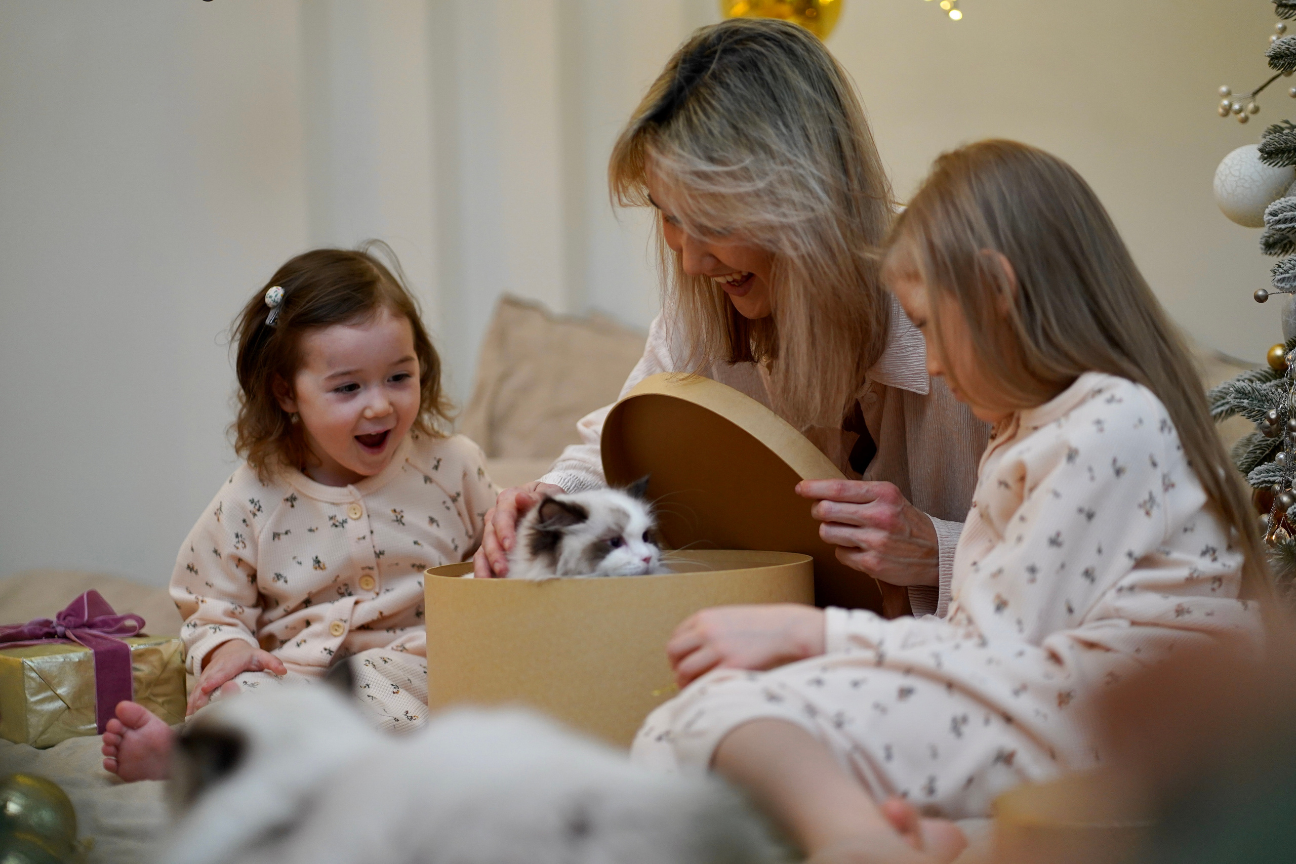 Семейная фотосессия. Детская и семейная фотосессия