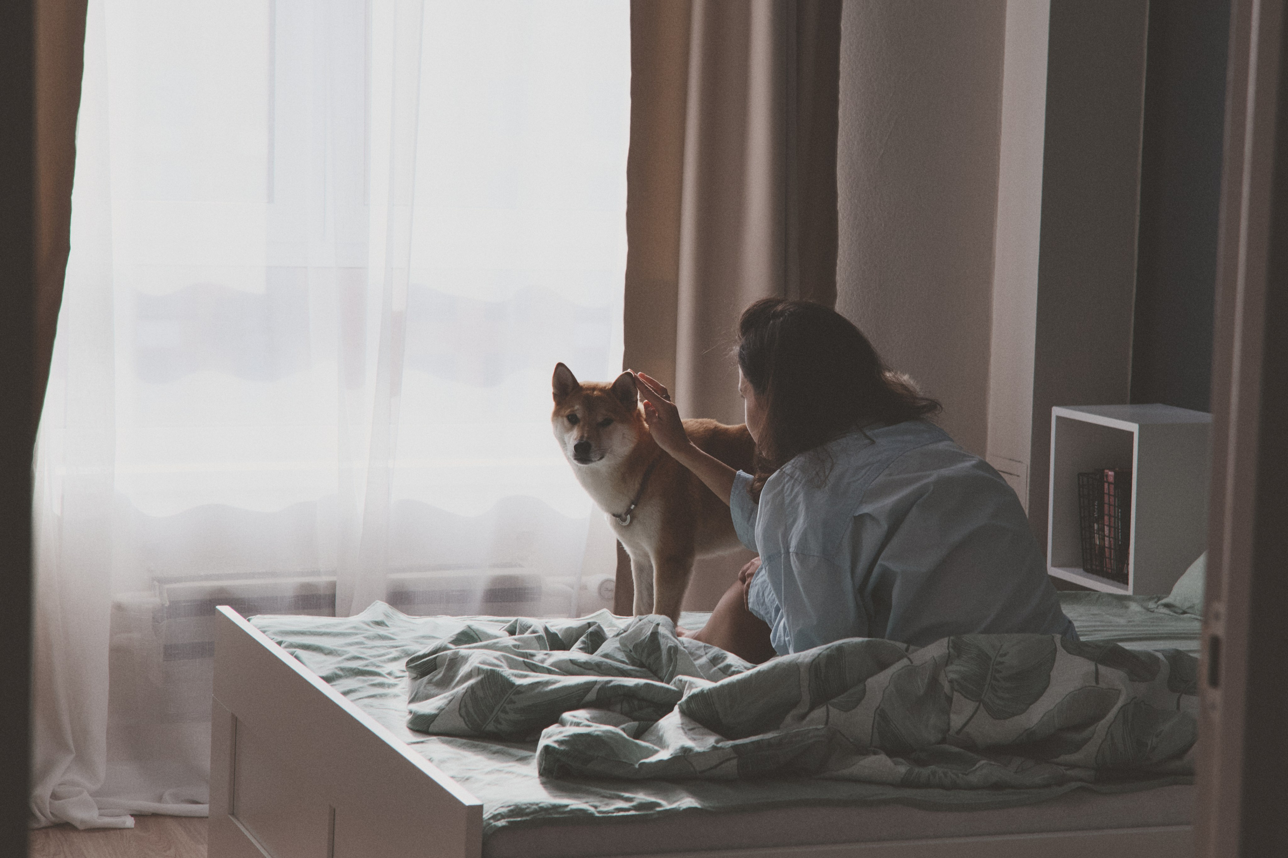 Masha. Portrait, family and pet photographer in Cyprus, Ksenia Bourdelle