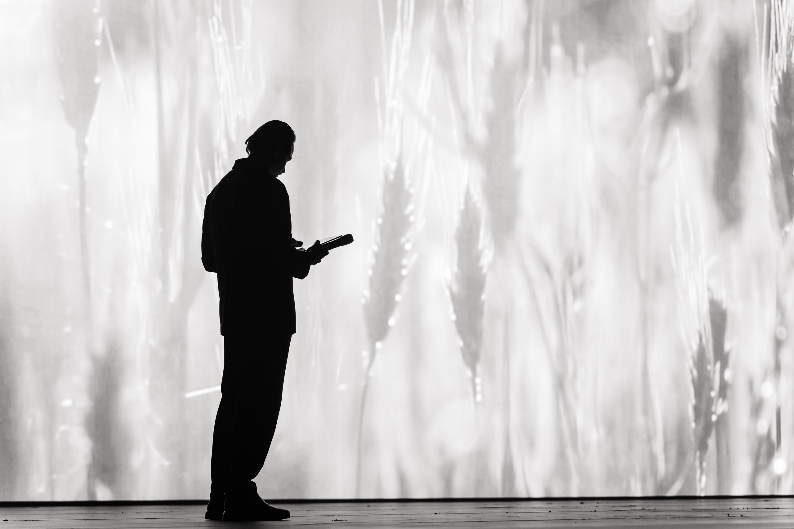 Гид шеф-поваров Юга России. Свадебный и репортажный, фуд фотограф в Новороссийске Евгений Александриди