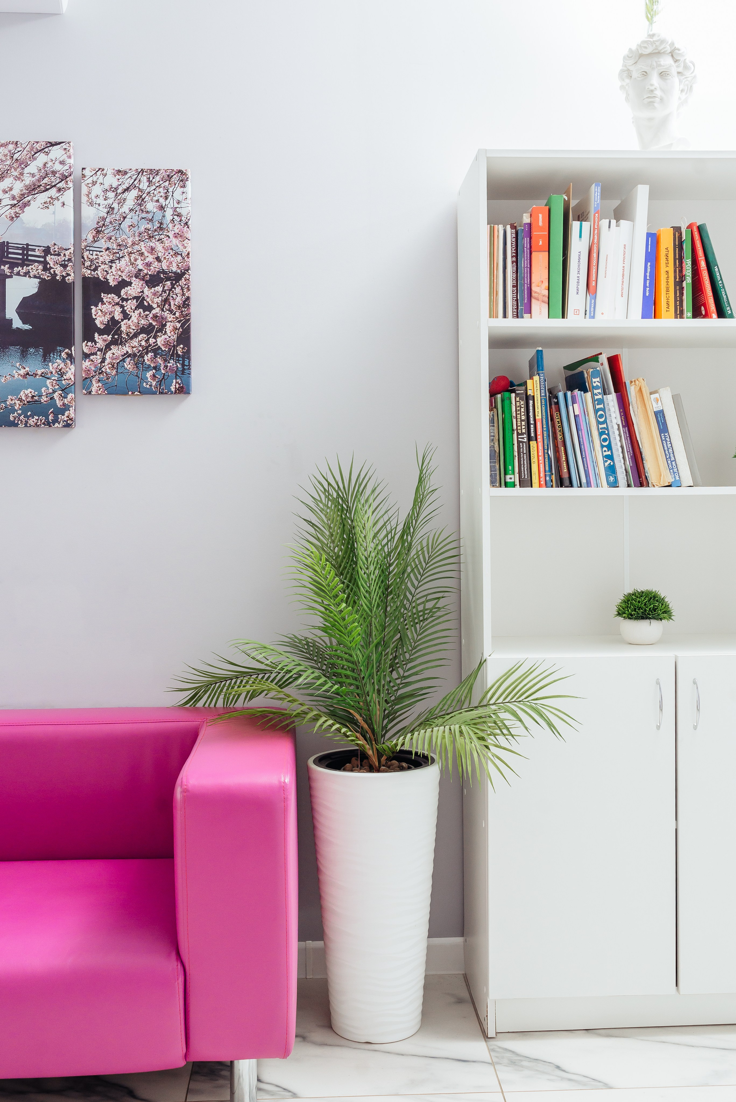 Уромед (интерьер и портреты врачей). Семейный и детский фотограф Иваново Ксения Азаренкова