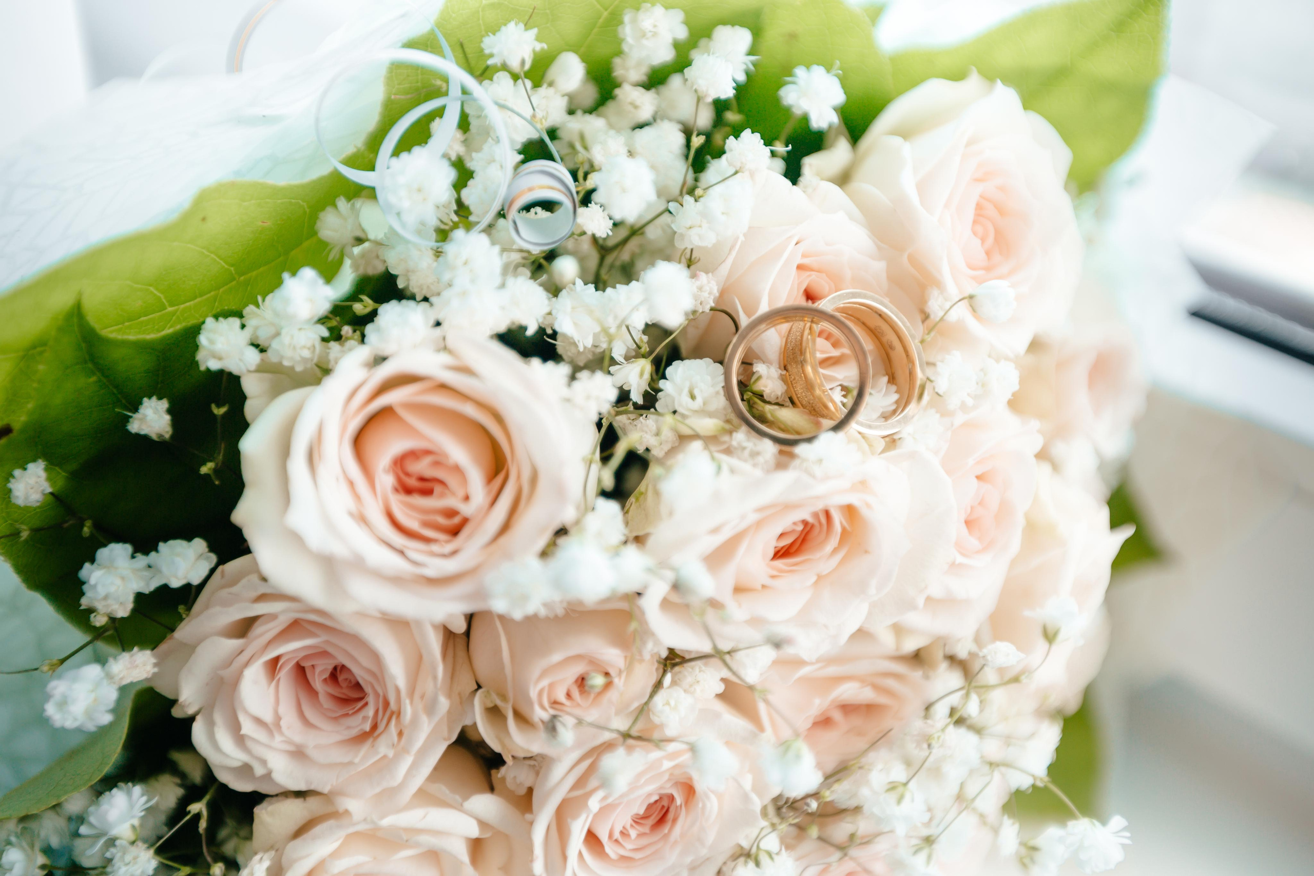 СВАДЬБА. ARTEMIY IGNATOV