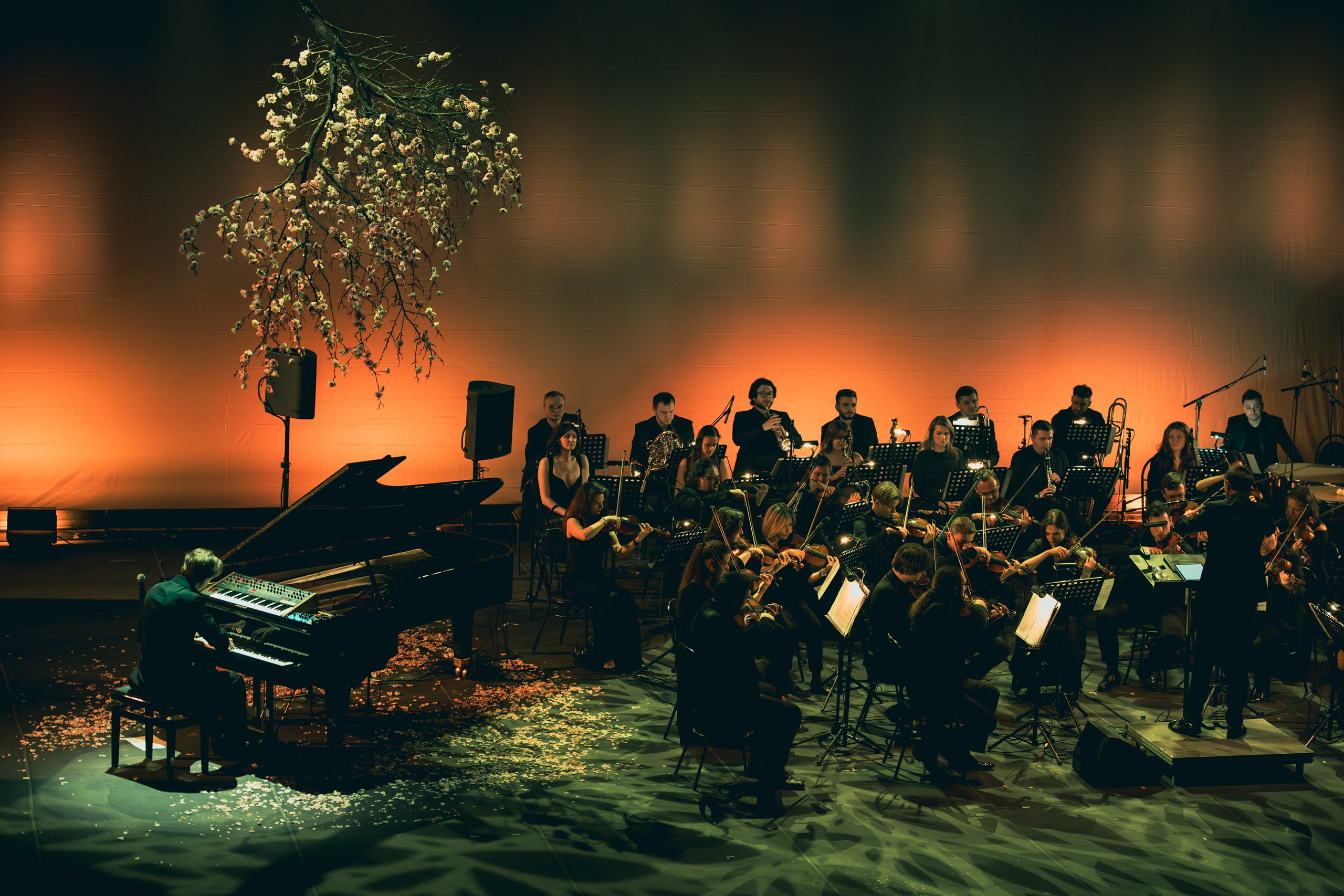 Никола Мельников / 2024. OOPS