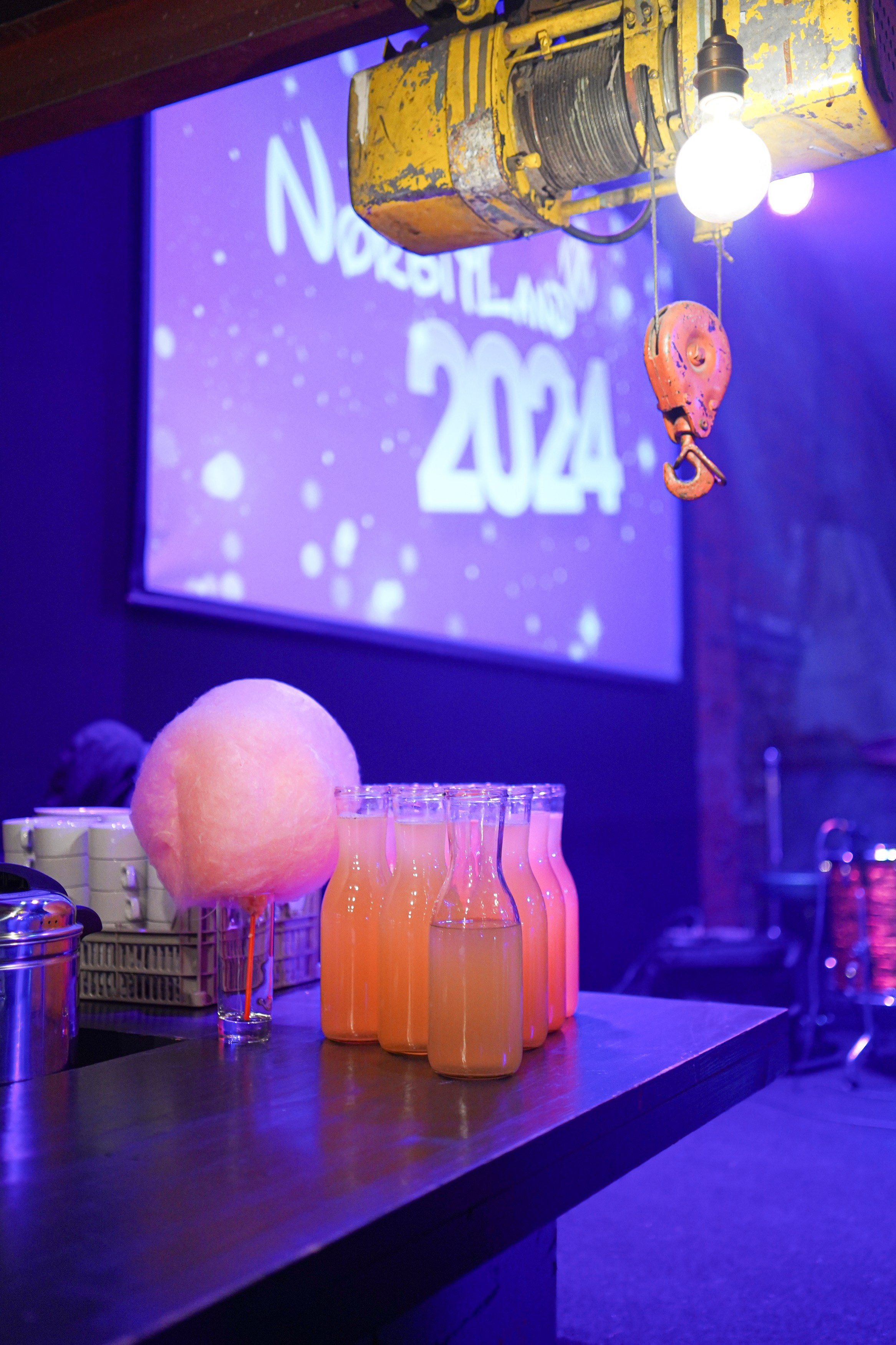 Корпоратив Norbitland. Свадебный фотограф Москва