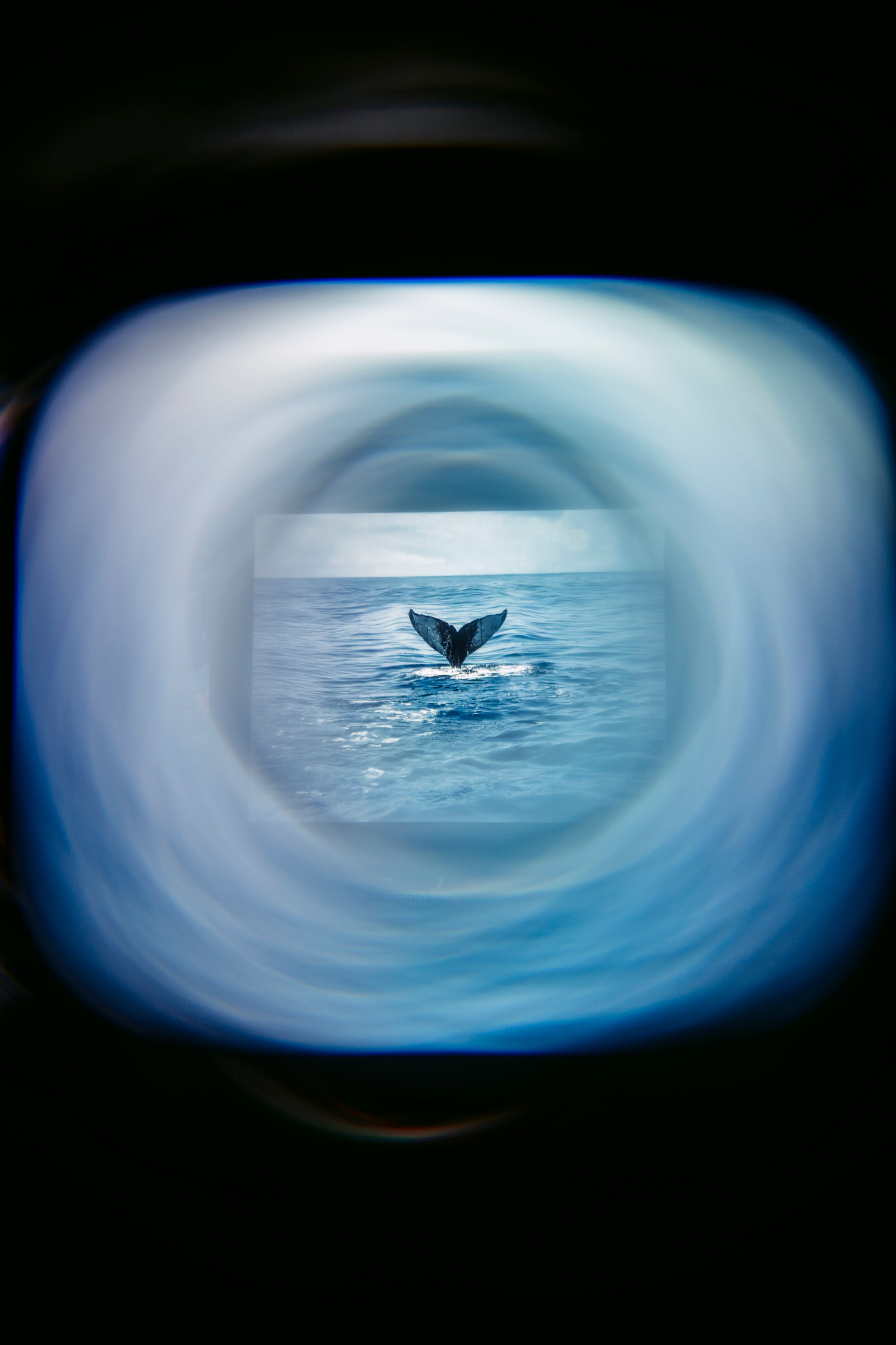 NUR NOW 2026. Главная