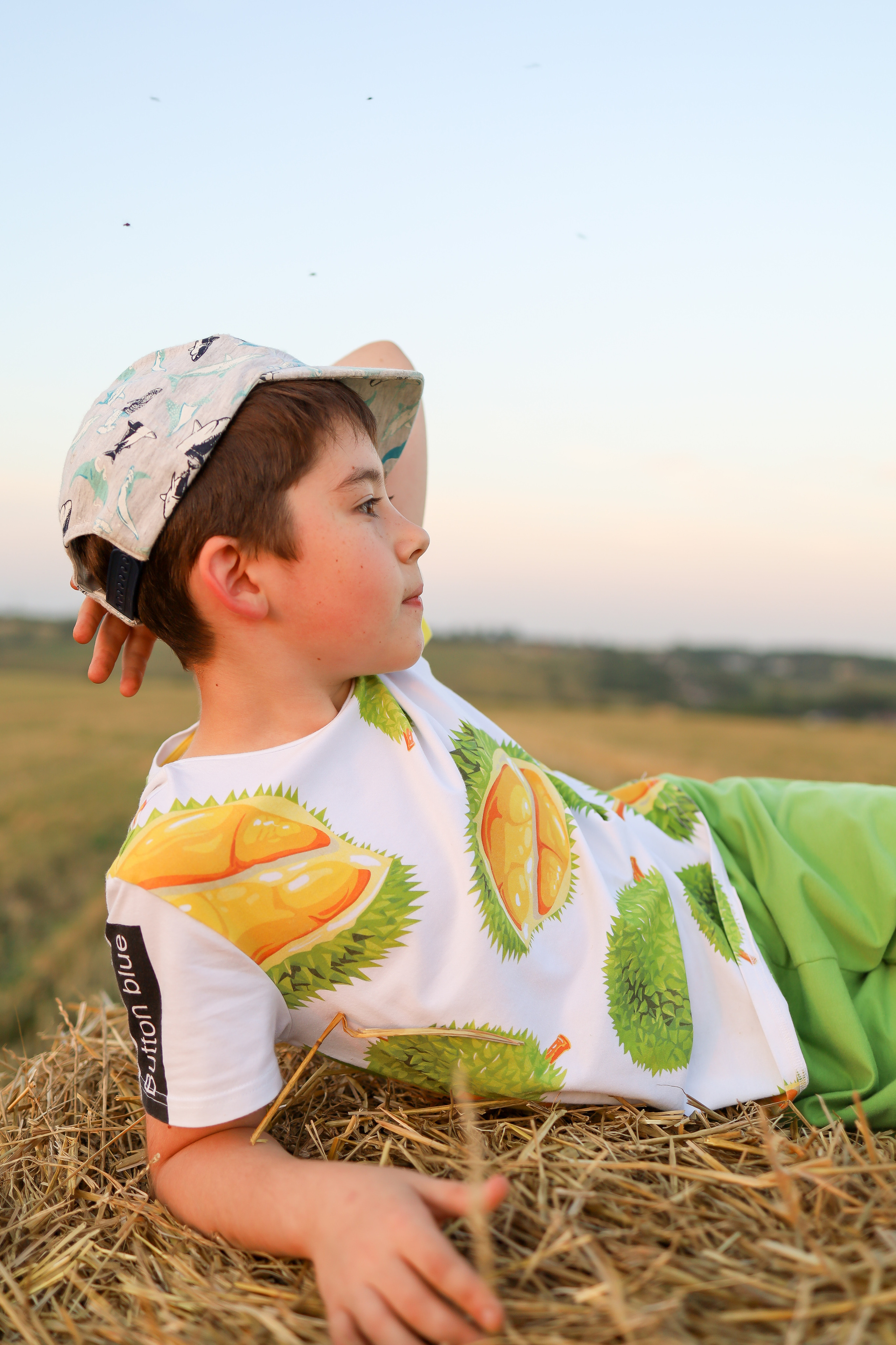 Закат в поле. Фотограф в Туле Аушева Юлия