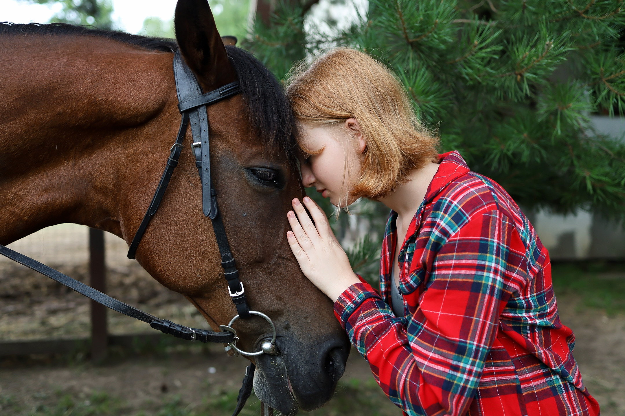 Эти глаза. Фотограф в Туле Аушева Юлия