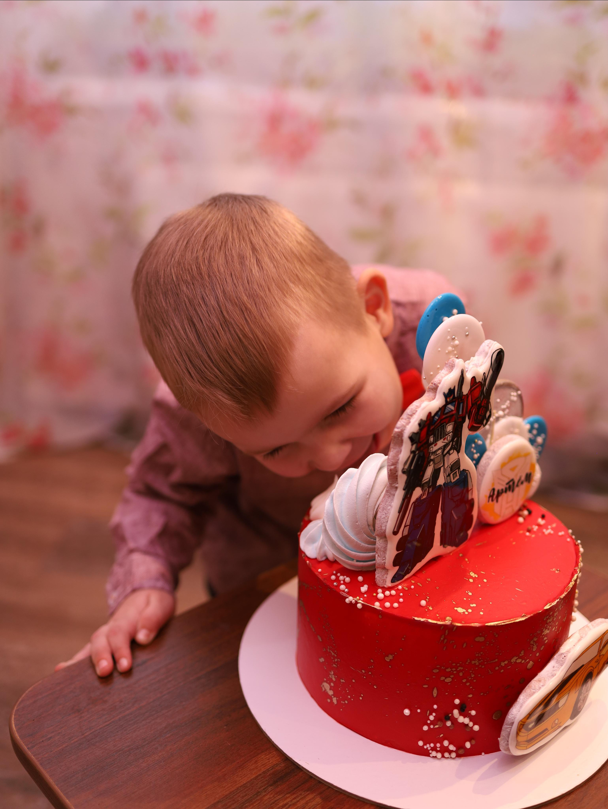 Артему 5 лет. Фотограф в Туле Аушева Юлия