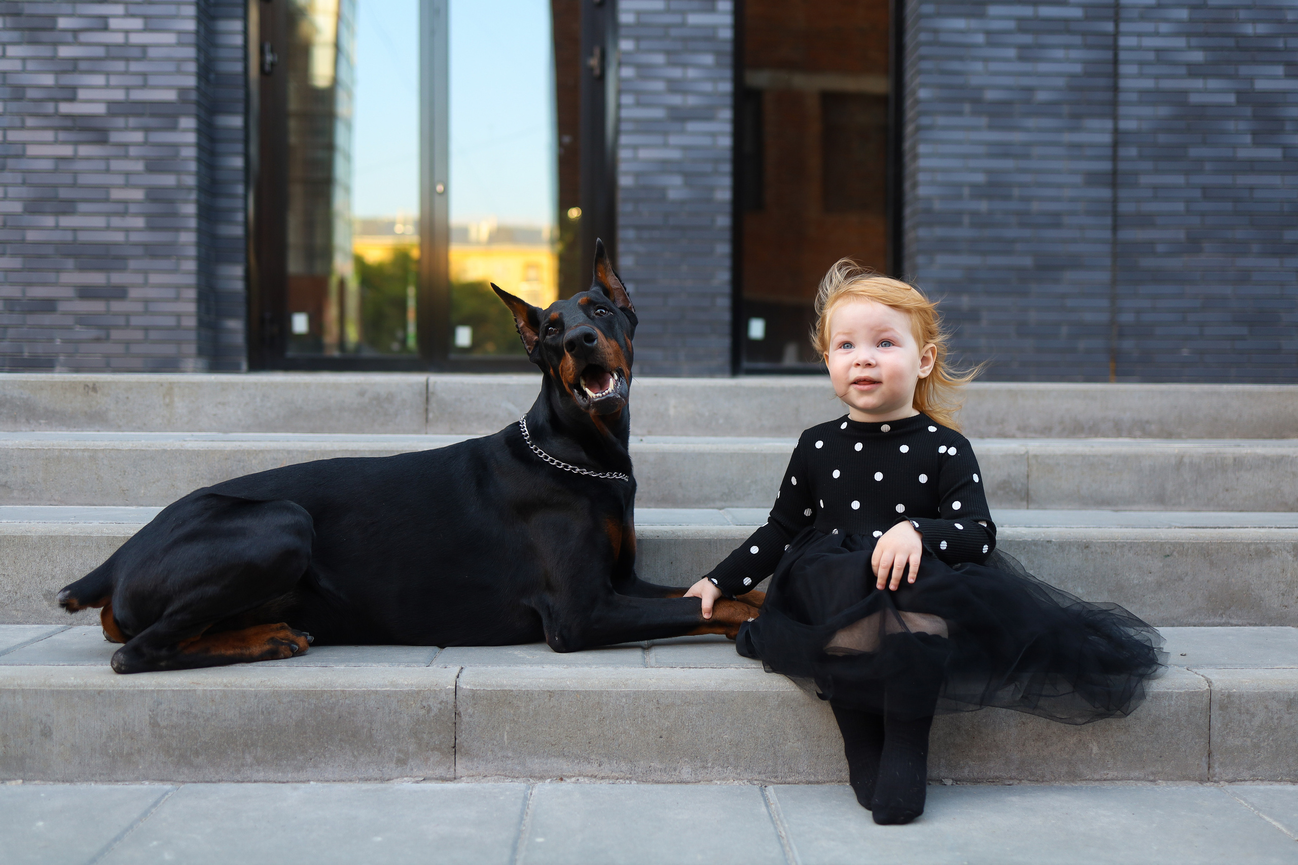 Любовь к мохнатым. Фотограф в Туле Аушева Юлия