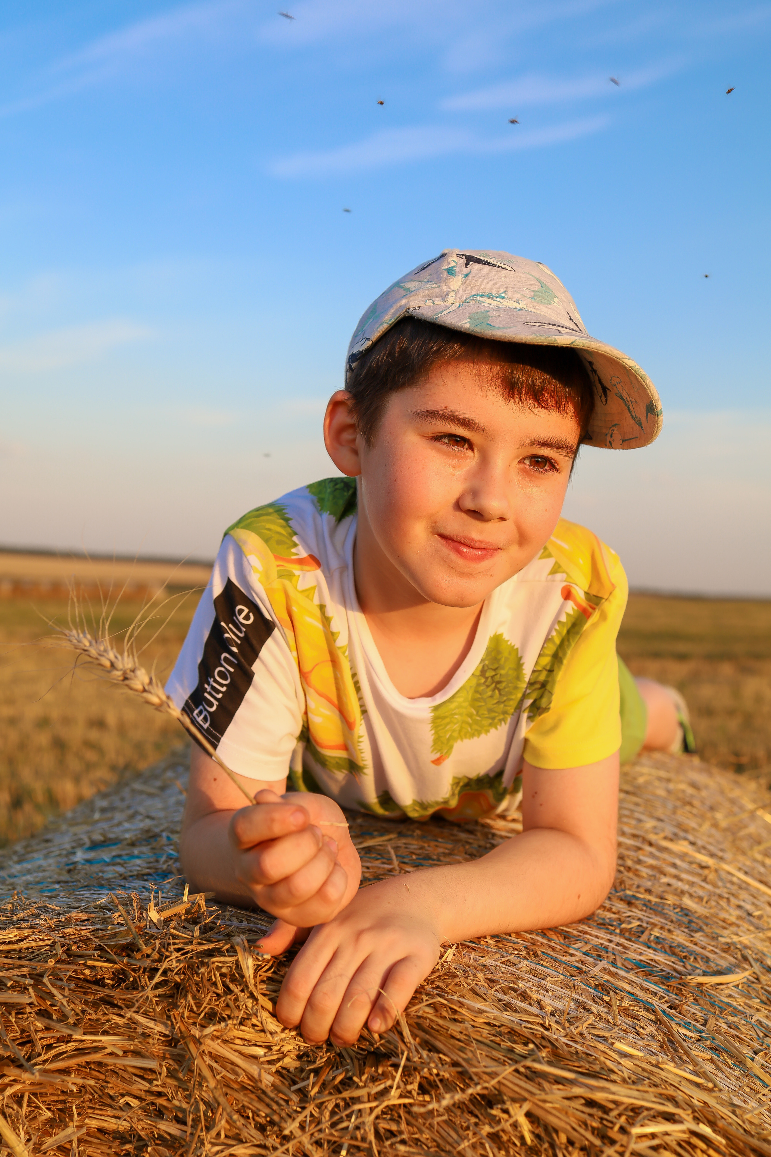 Закат в поле. Фотограф в Туле Аушева Юлия