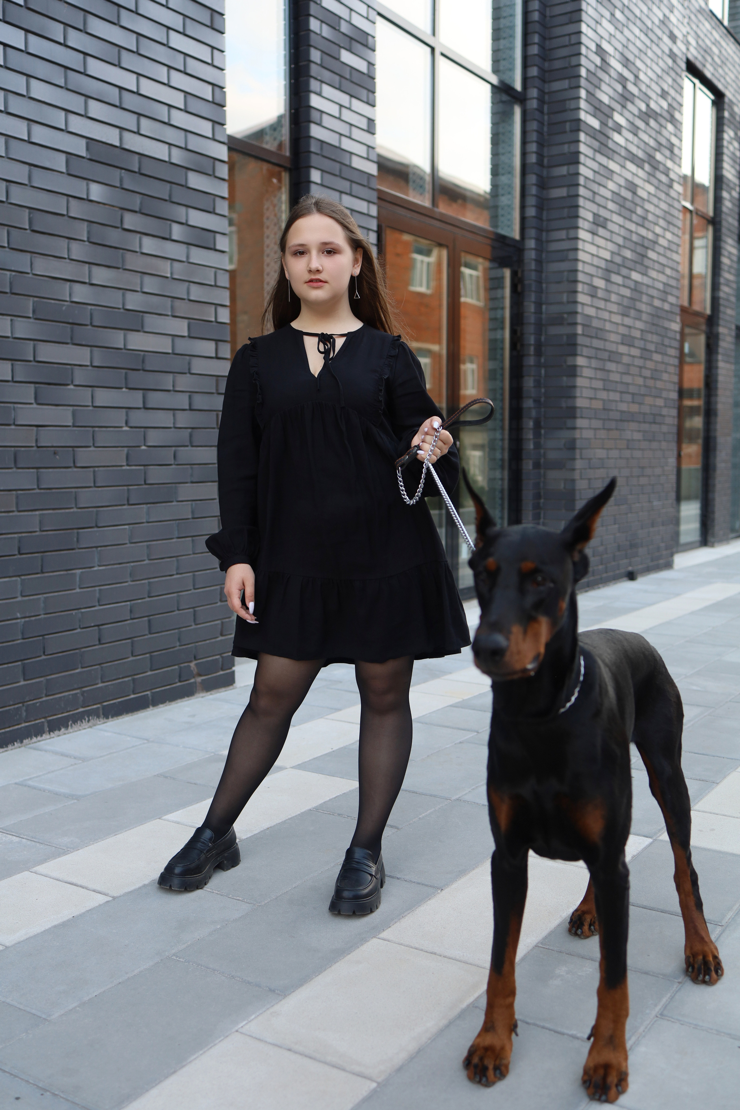 Доберман. Фотограф в Туле Аушева Юлия