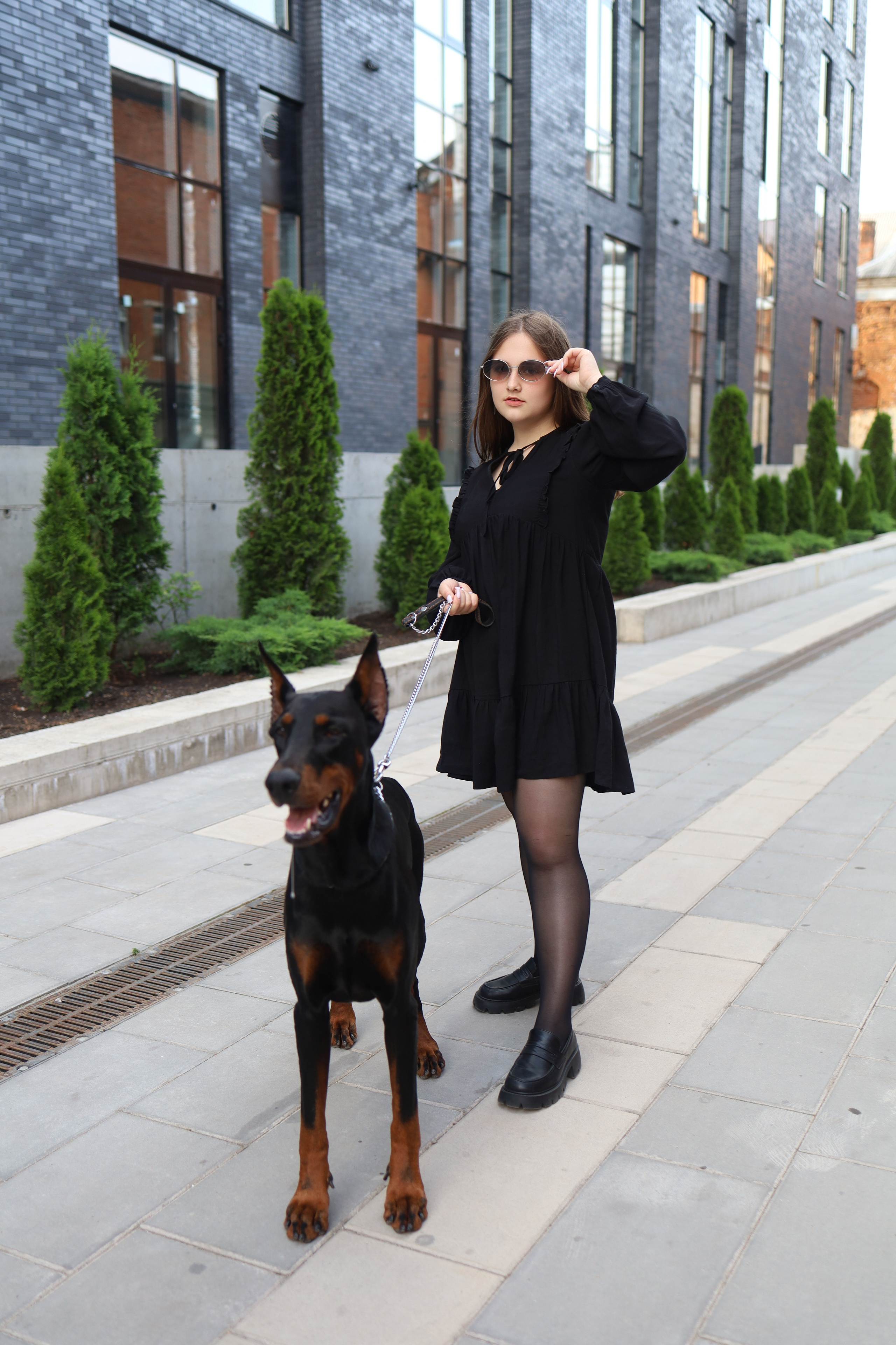 Доберман. Фотограф в Туле Аушева Юлия