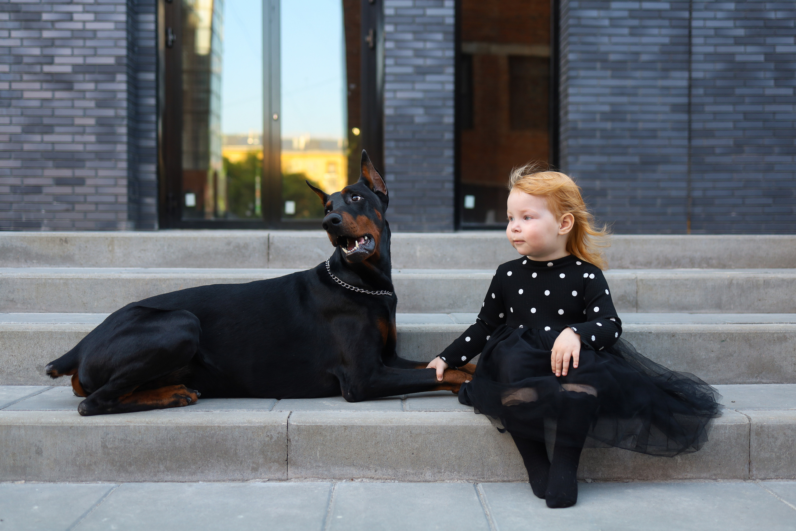 Любовь к мохнатым. Фотограф в Туле Аушева Юлия