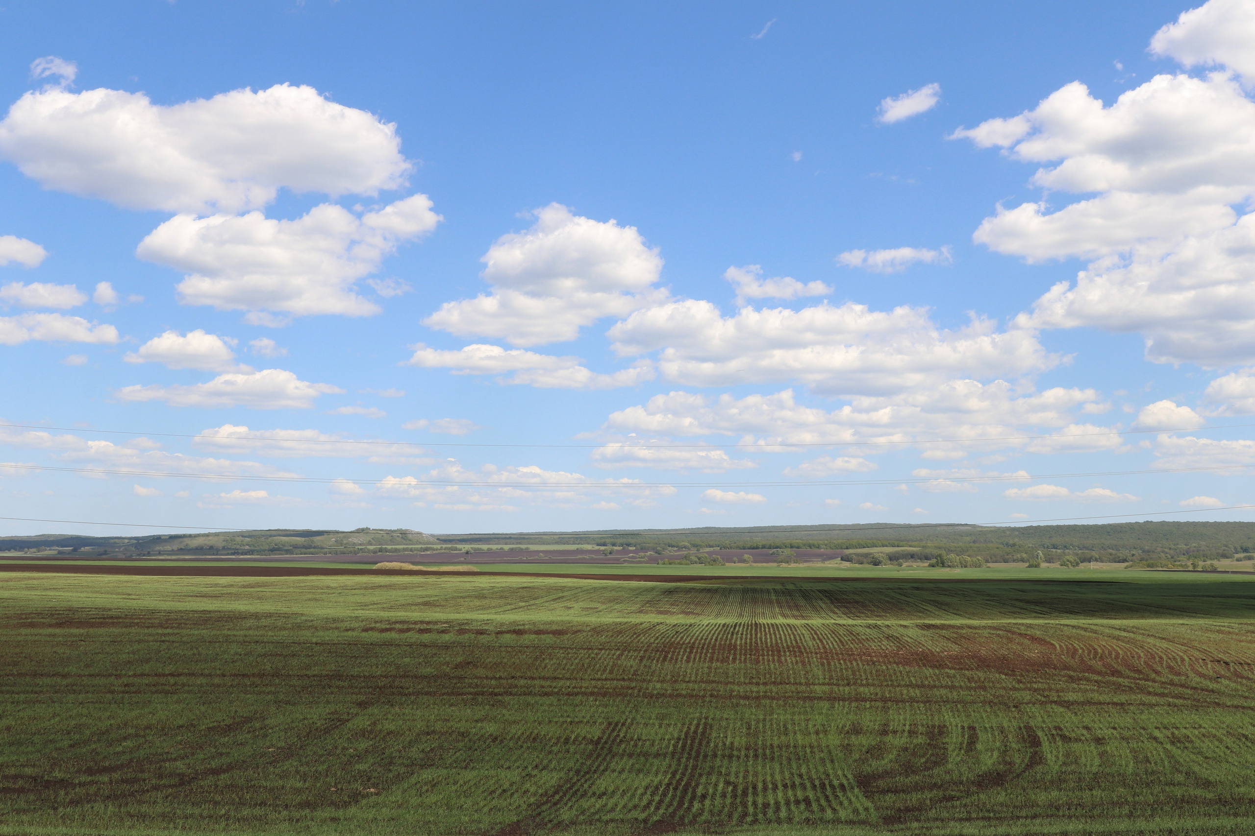 Велопоход Уфа — Мелеуз. Май 2024. Путешественник-фотограф из Санкт-Петербурга Татьяна Свистулина