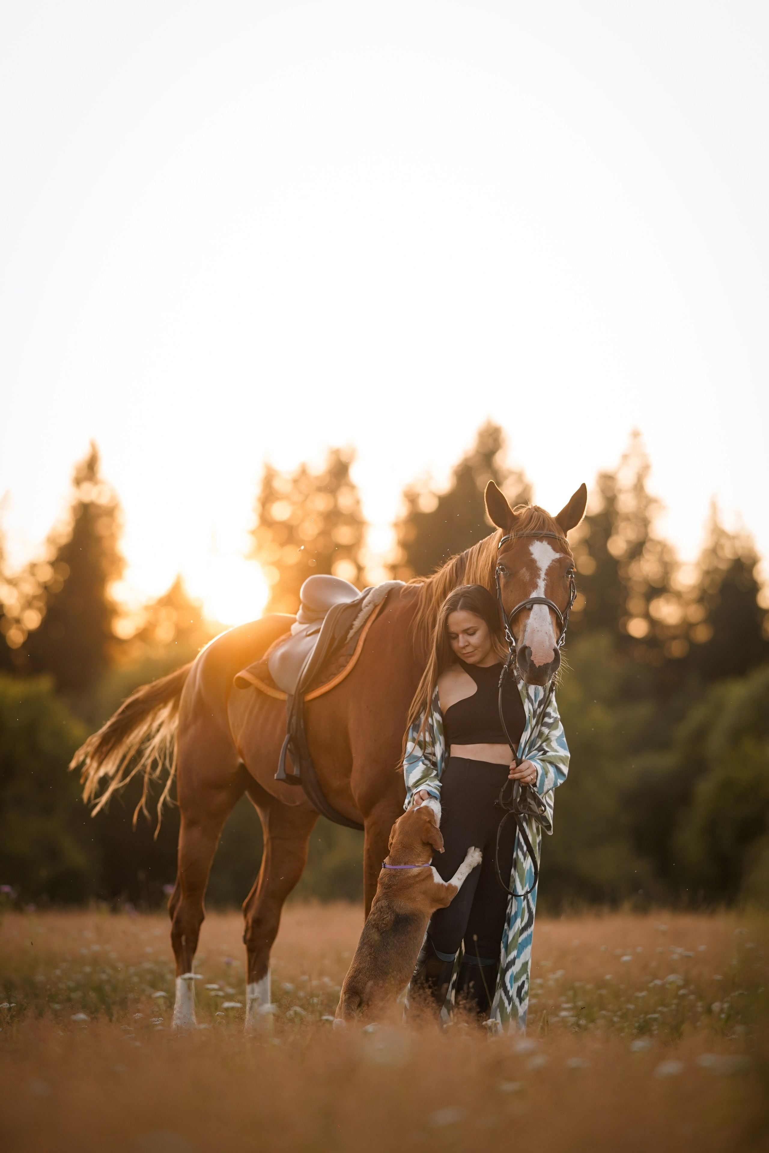 Лера Джон и Диамант. Фотограф-анималист в Санкт-Петербурге Яна Мартынова