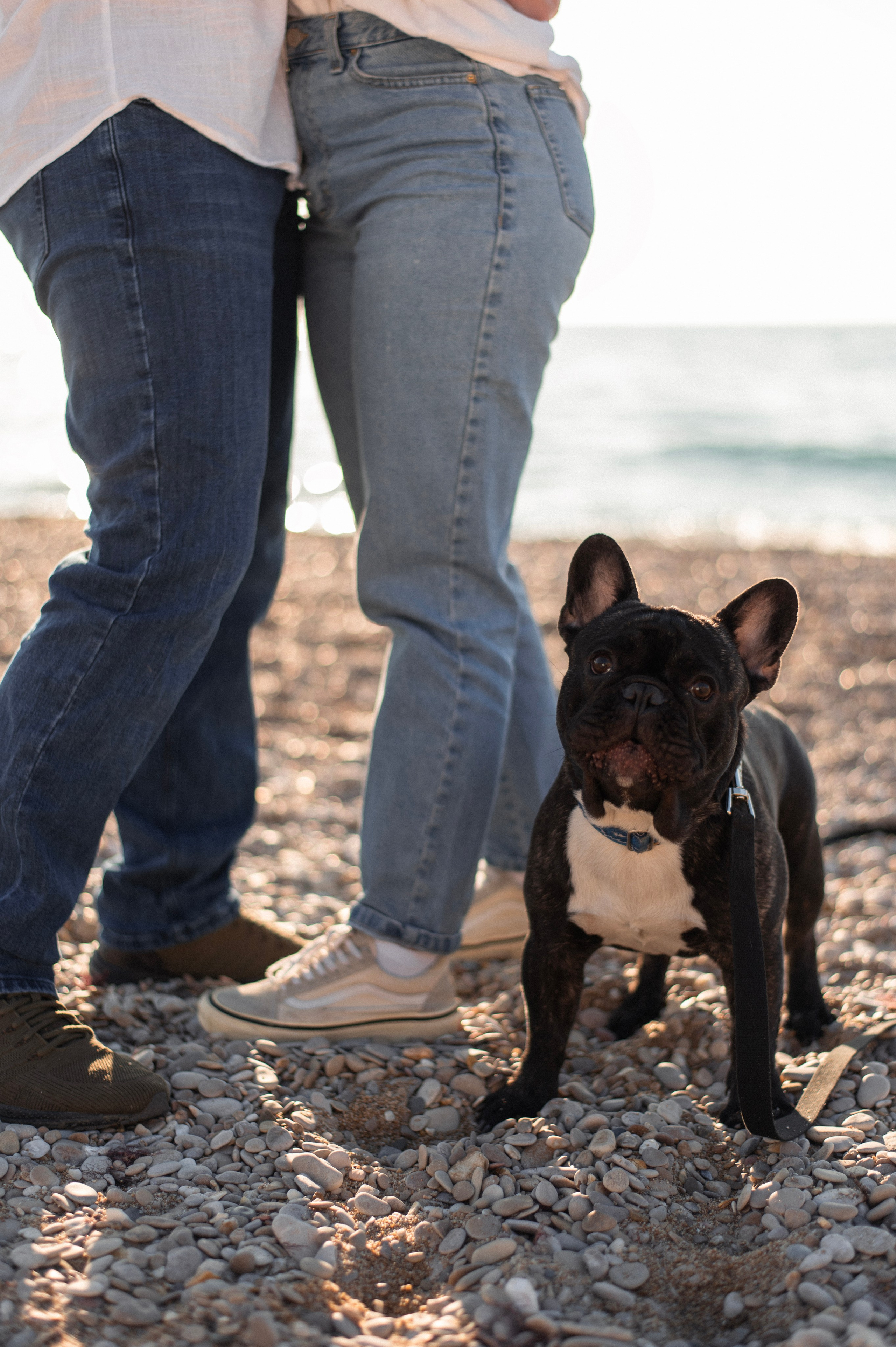 Илья, Вероника и Дема. Фотограф в Севастополе — Ольга Максименко