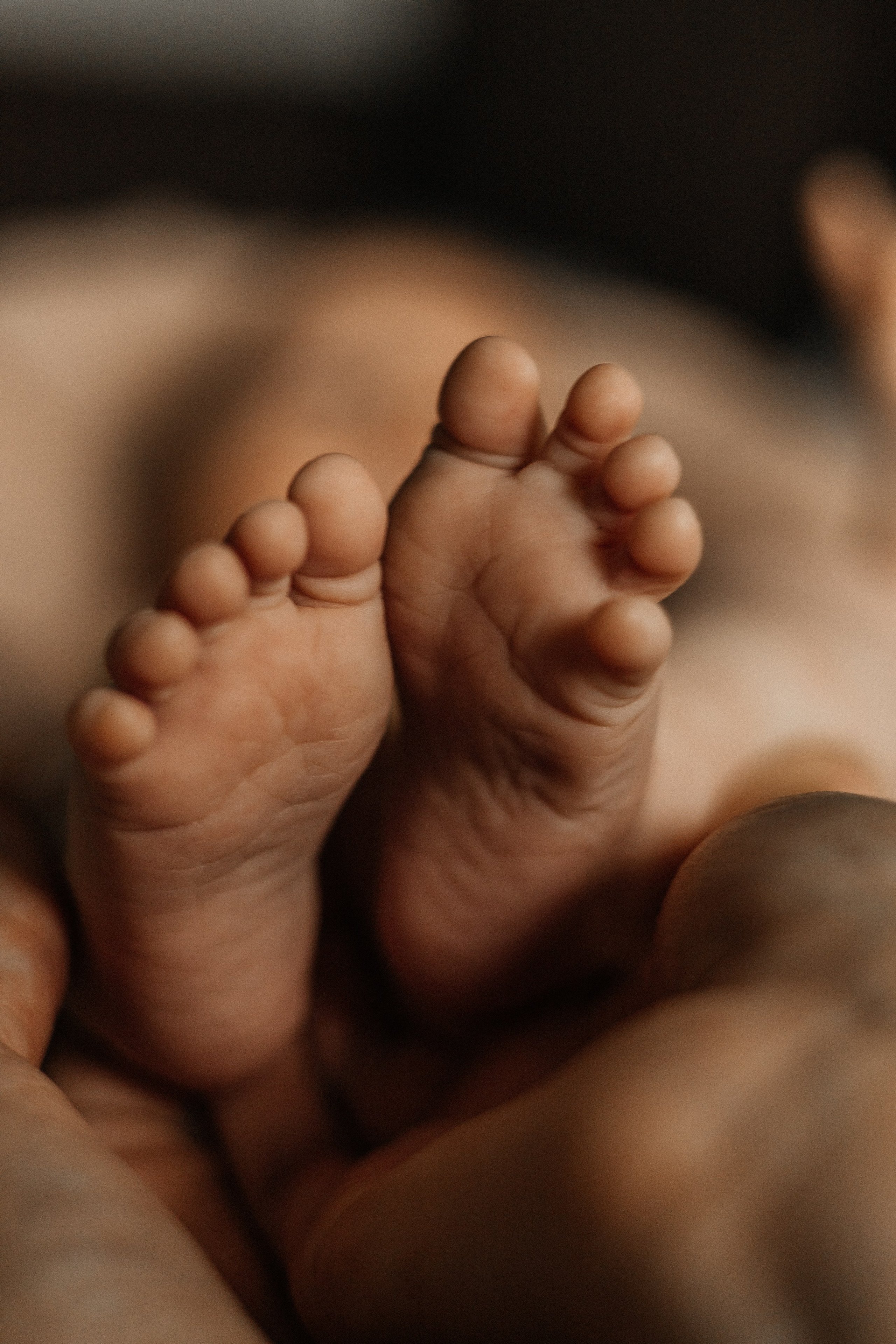 Newborn. Семейный фотограф в Санкт-Петербурге. Никитина Наталья