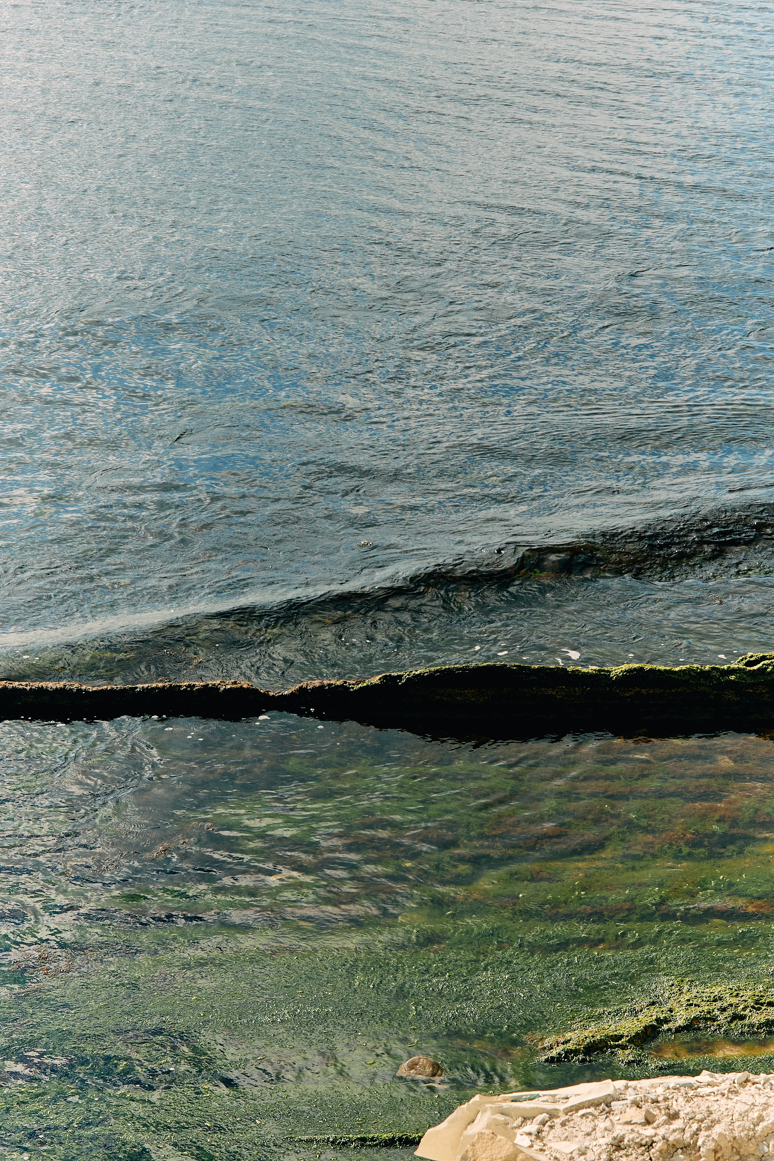 Юг России. Профессиональный Фотограф во Владимире, в Москве и в Суздале — Полина Романычева