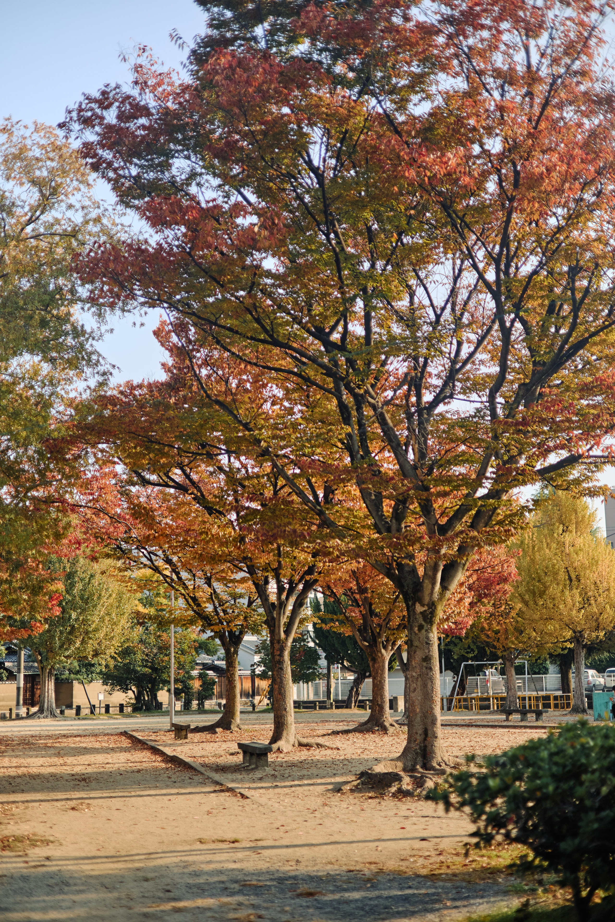 Япония. Профессиональный Фотограф во Владимире, в Москве и в Суздале — Полина Романычева
