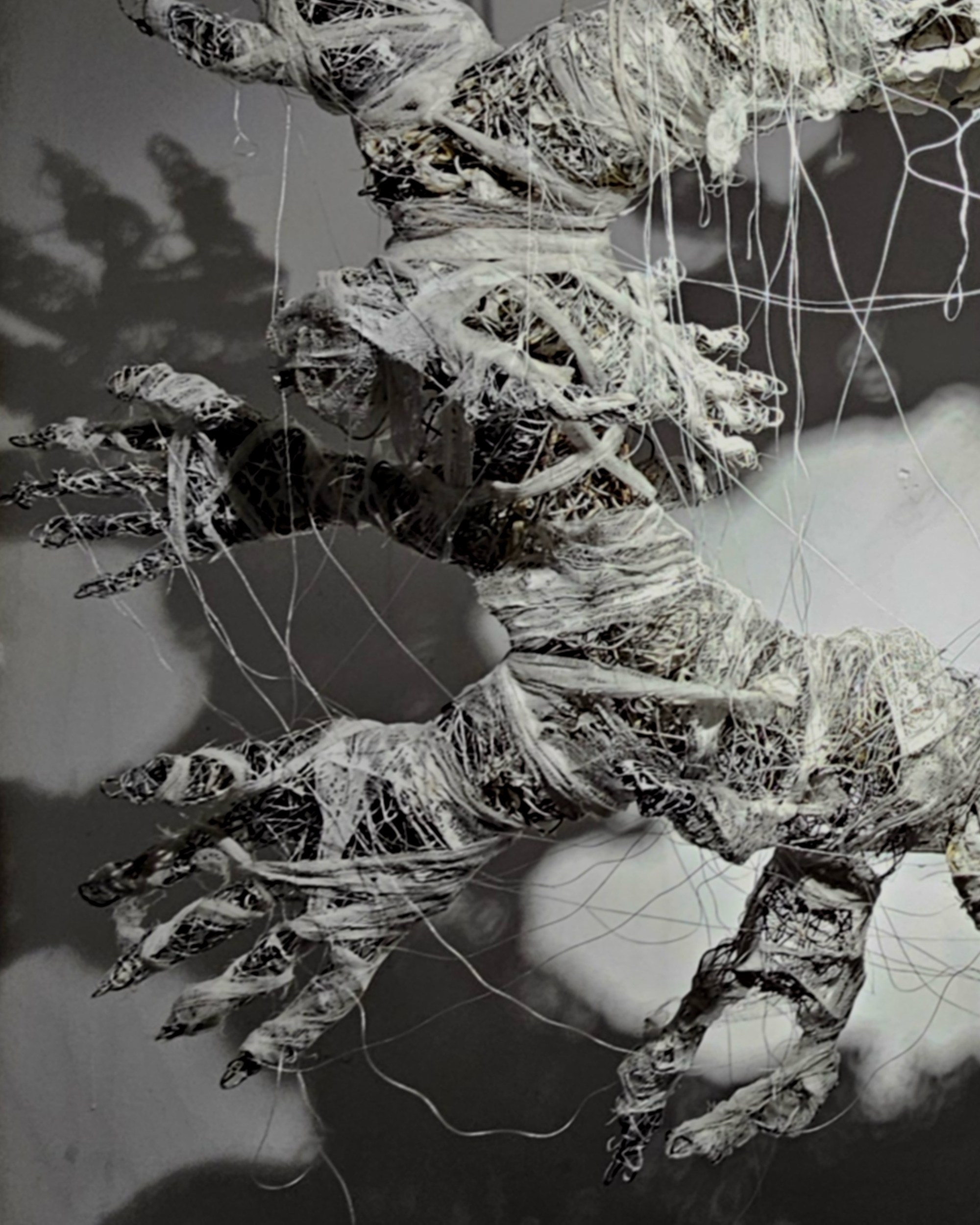 Акт аутофагии. Mmiore