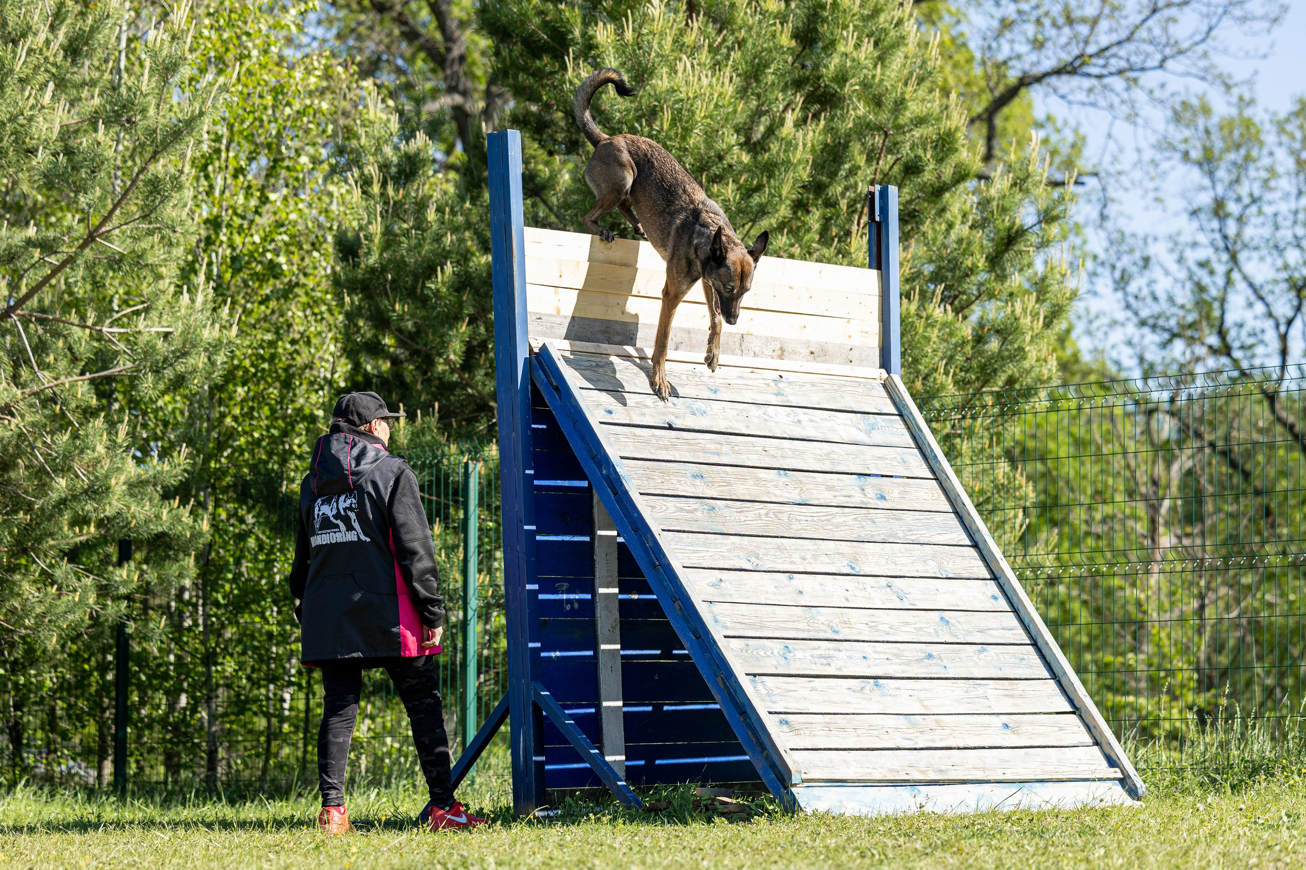 Испытания по мондьорингу в Нижнем Новгороде. Фотограф-анималист Анна Маринич