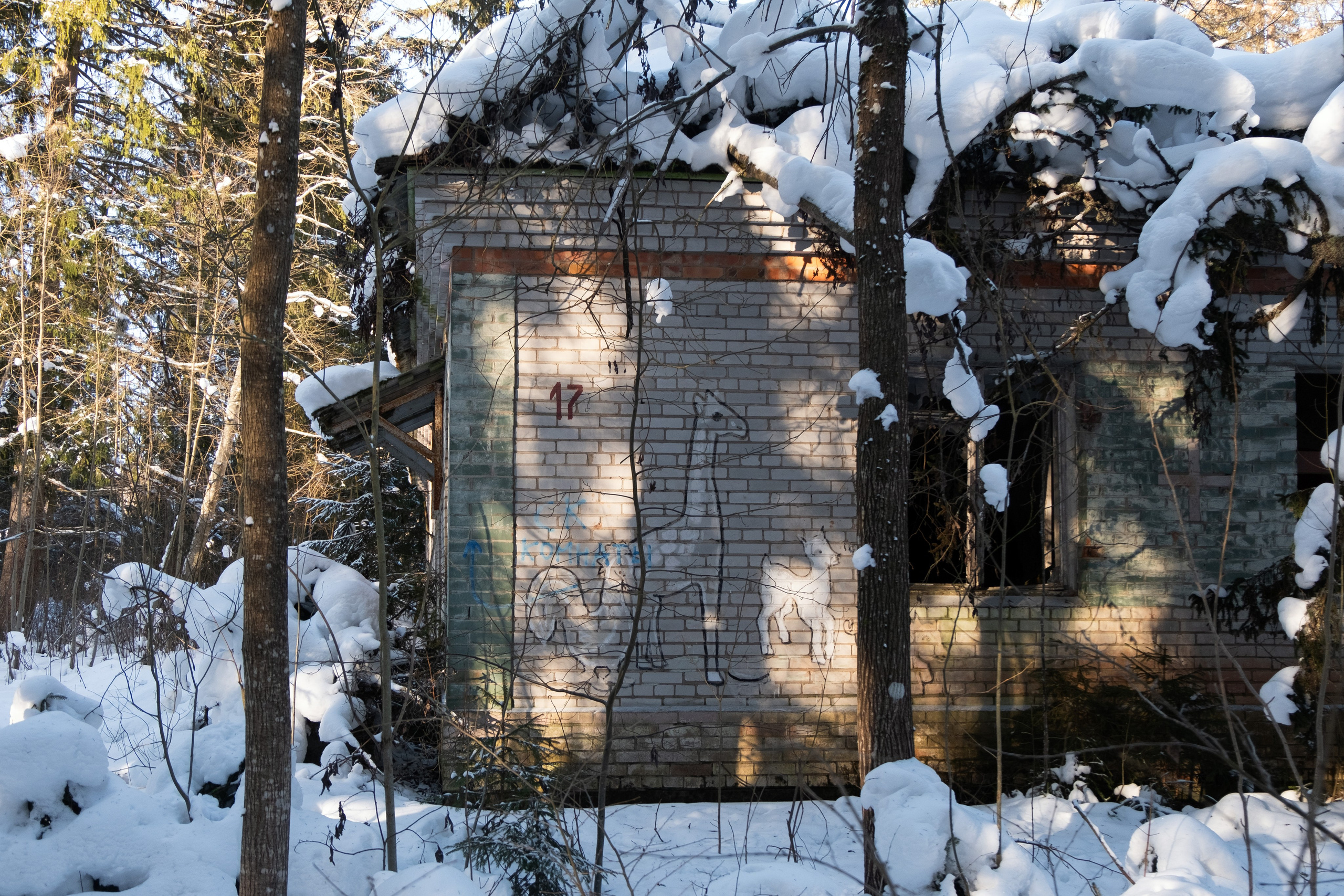 Пионерлагеря. Курочкина Софья