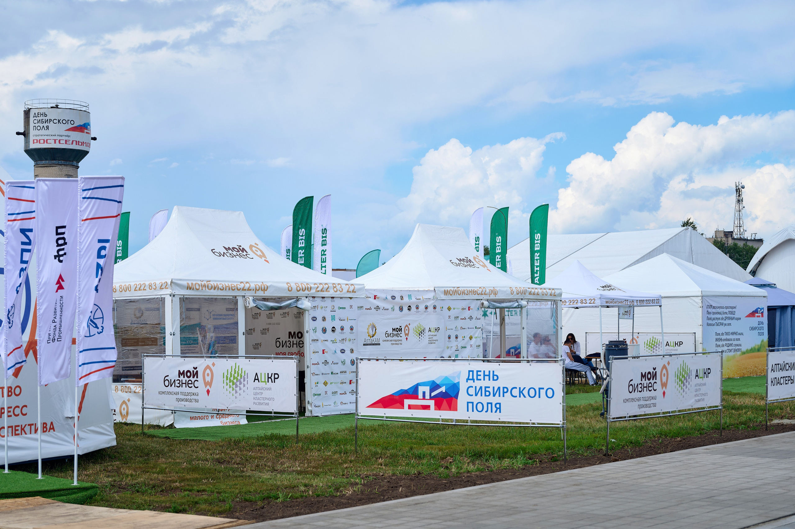 День поля. Фотограф Опыт Качество Скорость Горный Алтай Барнаул