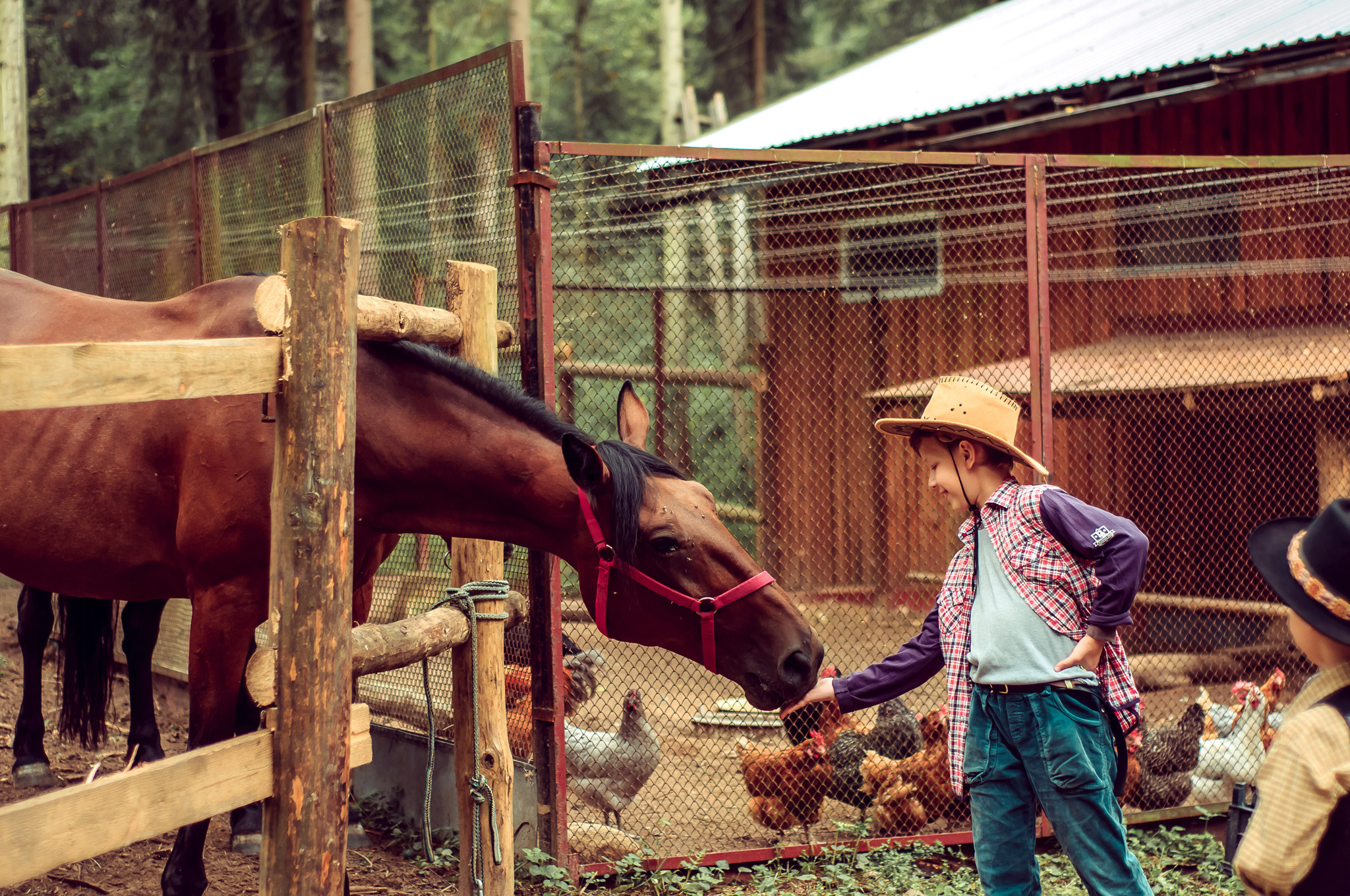 С лошадьми, в фермерском стиле. 🐴. Семейный и детский фотограф в Ярославле, Максимова Светлана