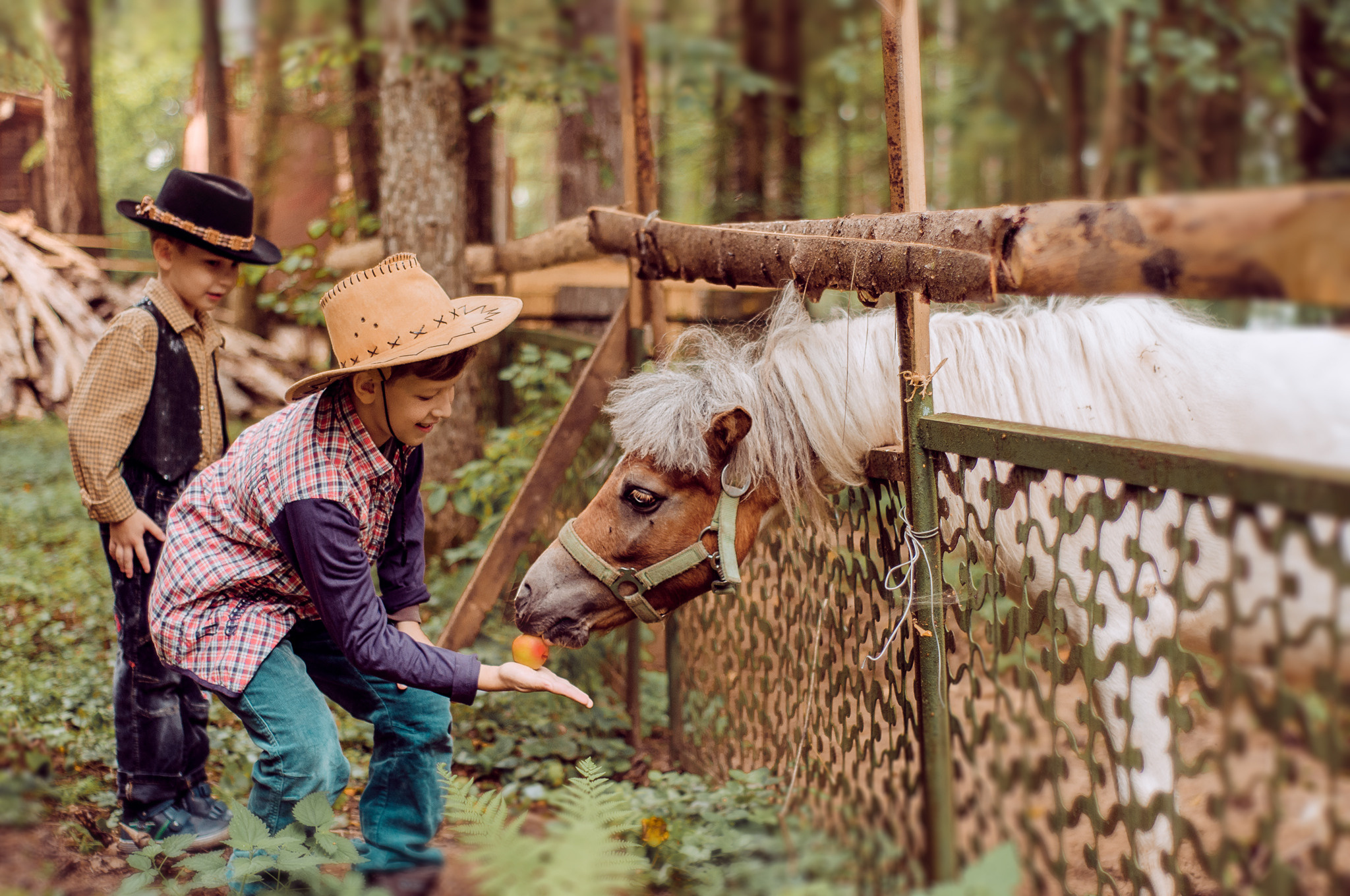 С лошадьми, в фермерском стиле. 🐴. Семейный и детский фотограф в Ярославле, Максимова Светлана