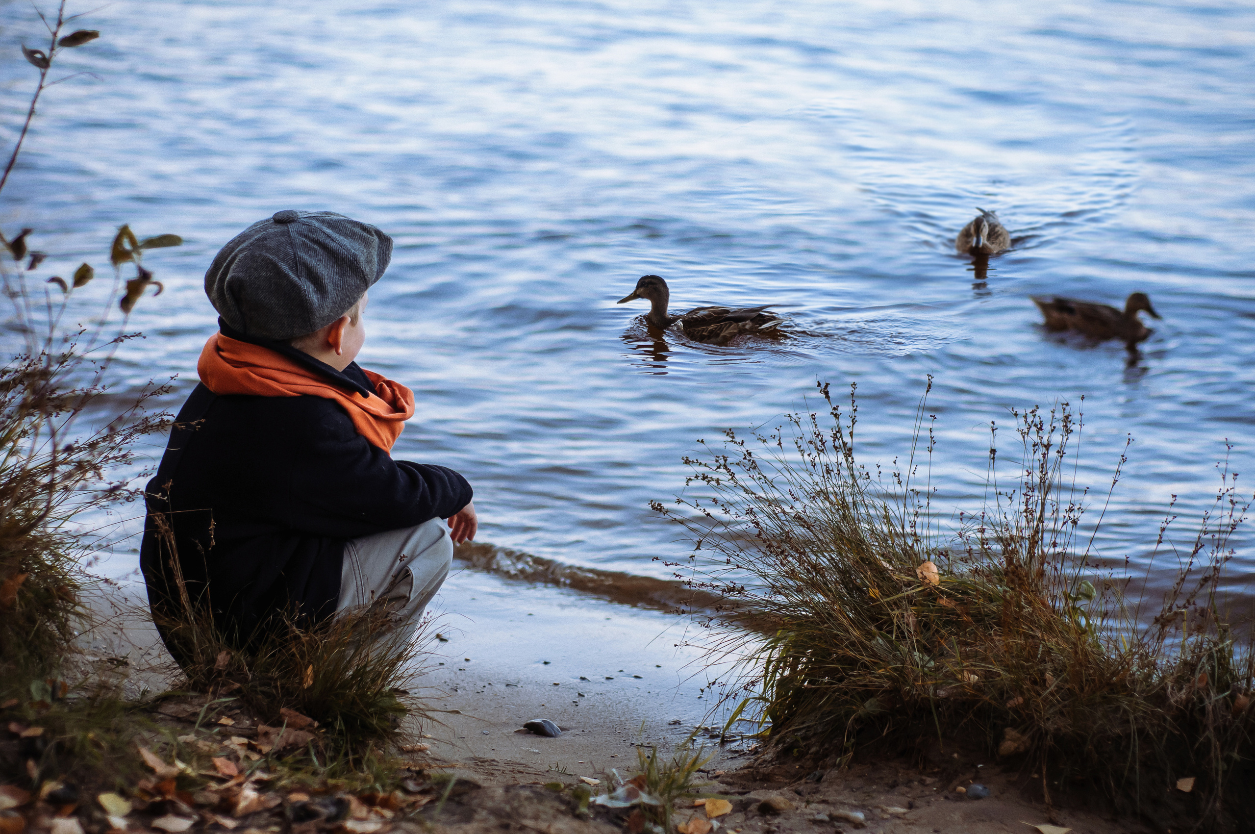 Детская фотосессия. Семейный и детский фотограф в Ярославле, Максимова Светлана