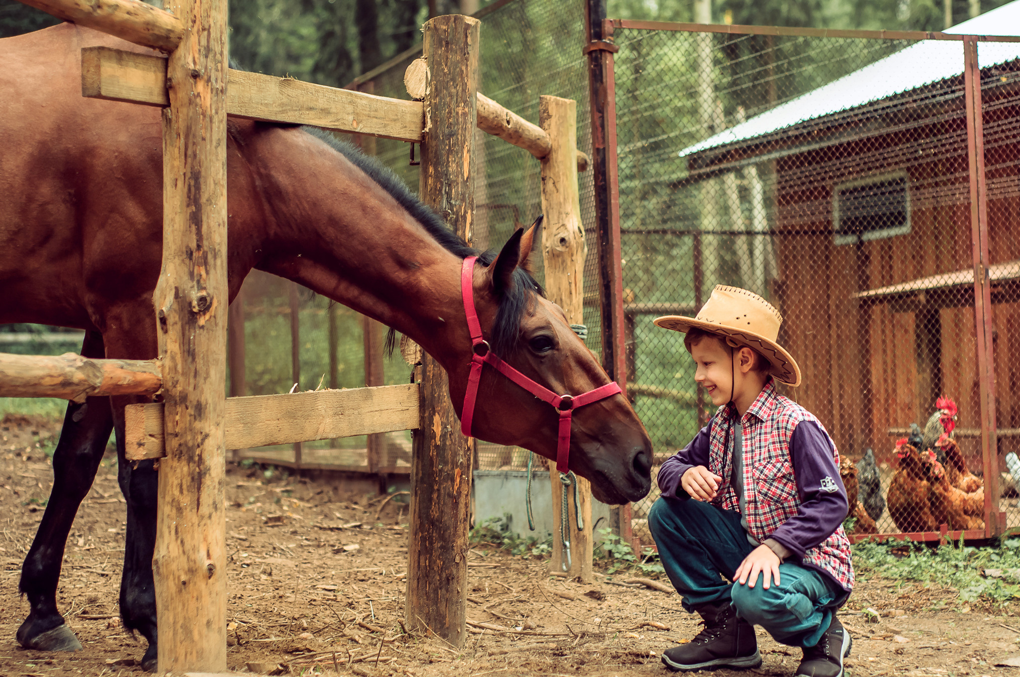 С лошадьми, в фермерском стиле. 🐴. Семейный и детский фотограф в Ярославле, Максимова Светлана