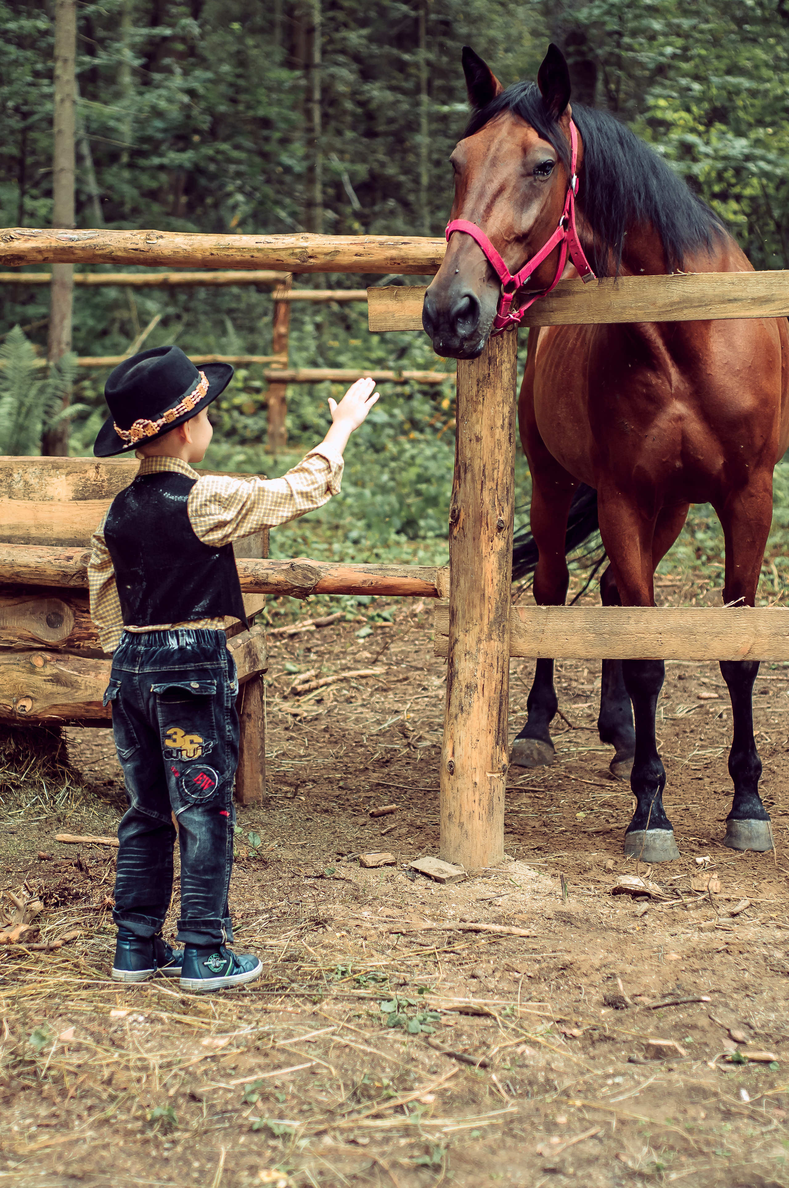С лошадьми, в фермерском стиле. 🐴. Семейный и детский фотограф в Ярославле, Максимова Светлана
