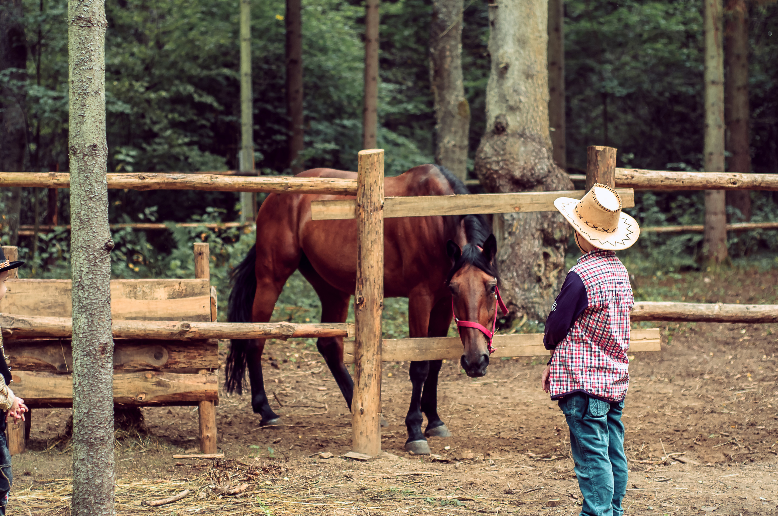 С лошадьми, в фермерском стиле. 🐴. Семейный и детский фотограф в Ярославле, Максимова Светлана