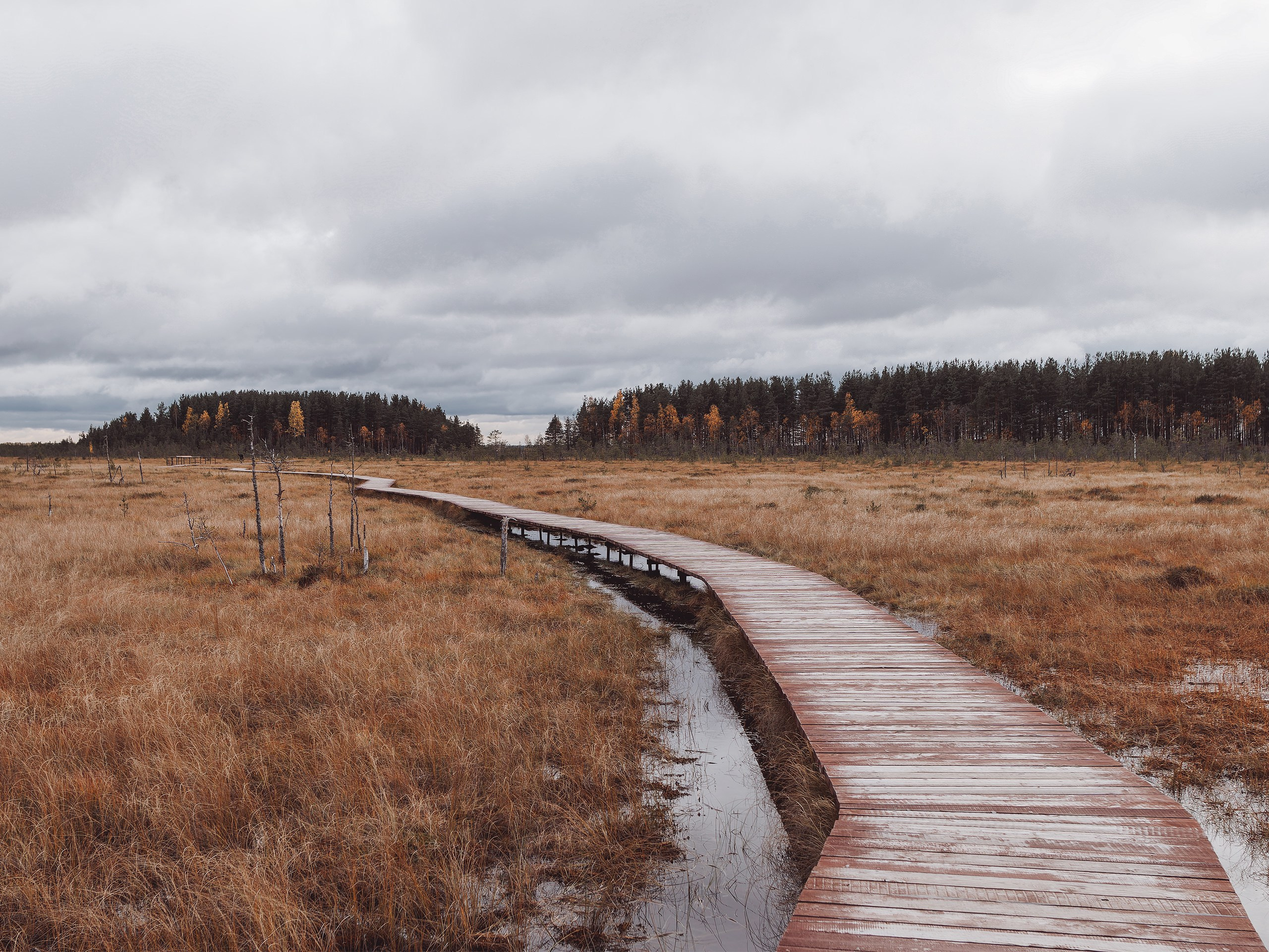 Андрей Васильев. Фотограф, Санкт-Петербург, Российская Федерация