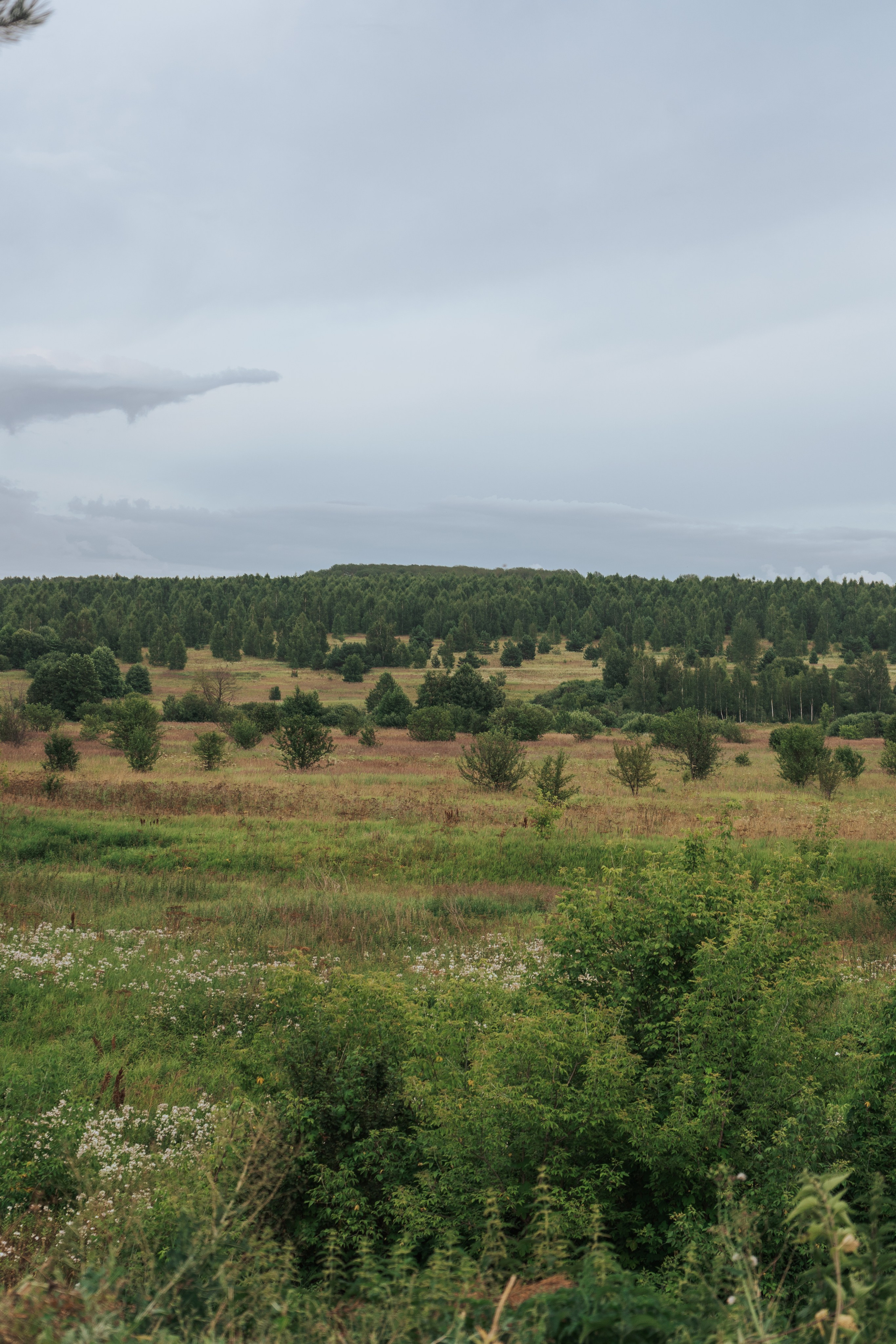 Ретрит от т-центра Псайторий 2024. Портретный фотограф Нижний Новгород
