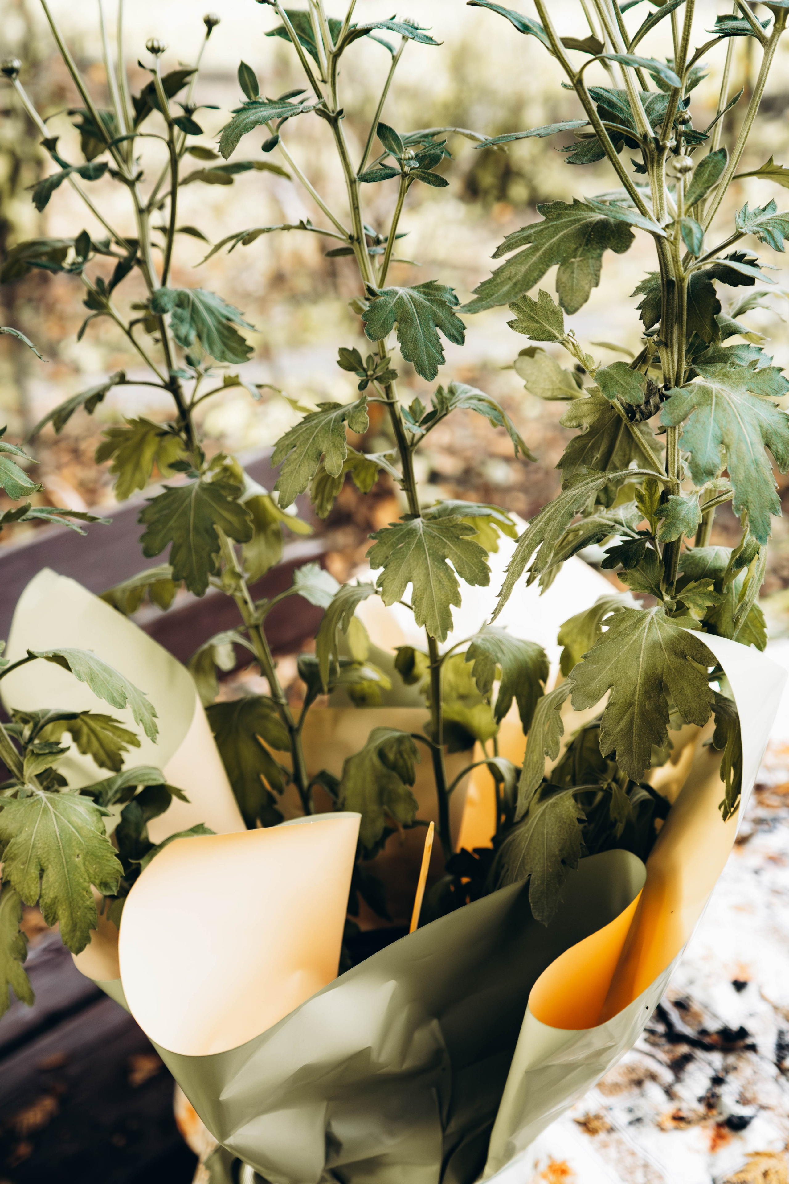 Съемка студии «Аж уютно». Фотограф Москва Валерия Веденина