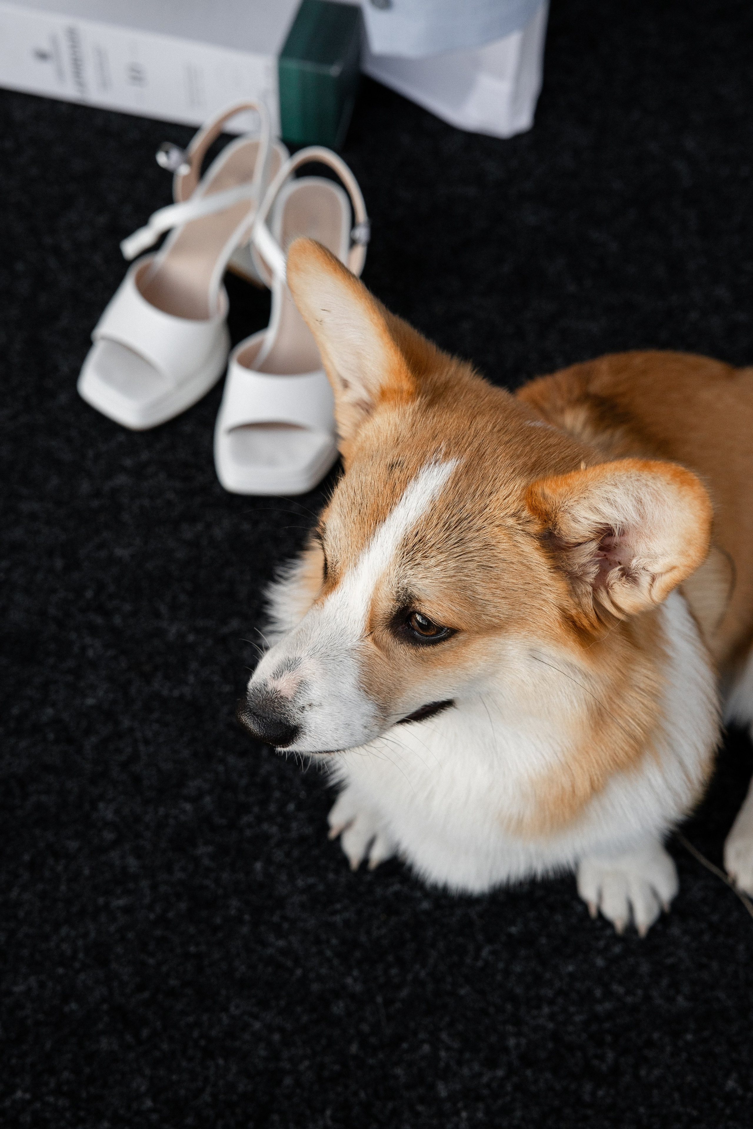 Свадебная серия. Свадебный фотограф в Иваново Гитарина Черняева