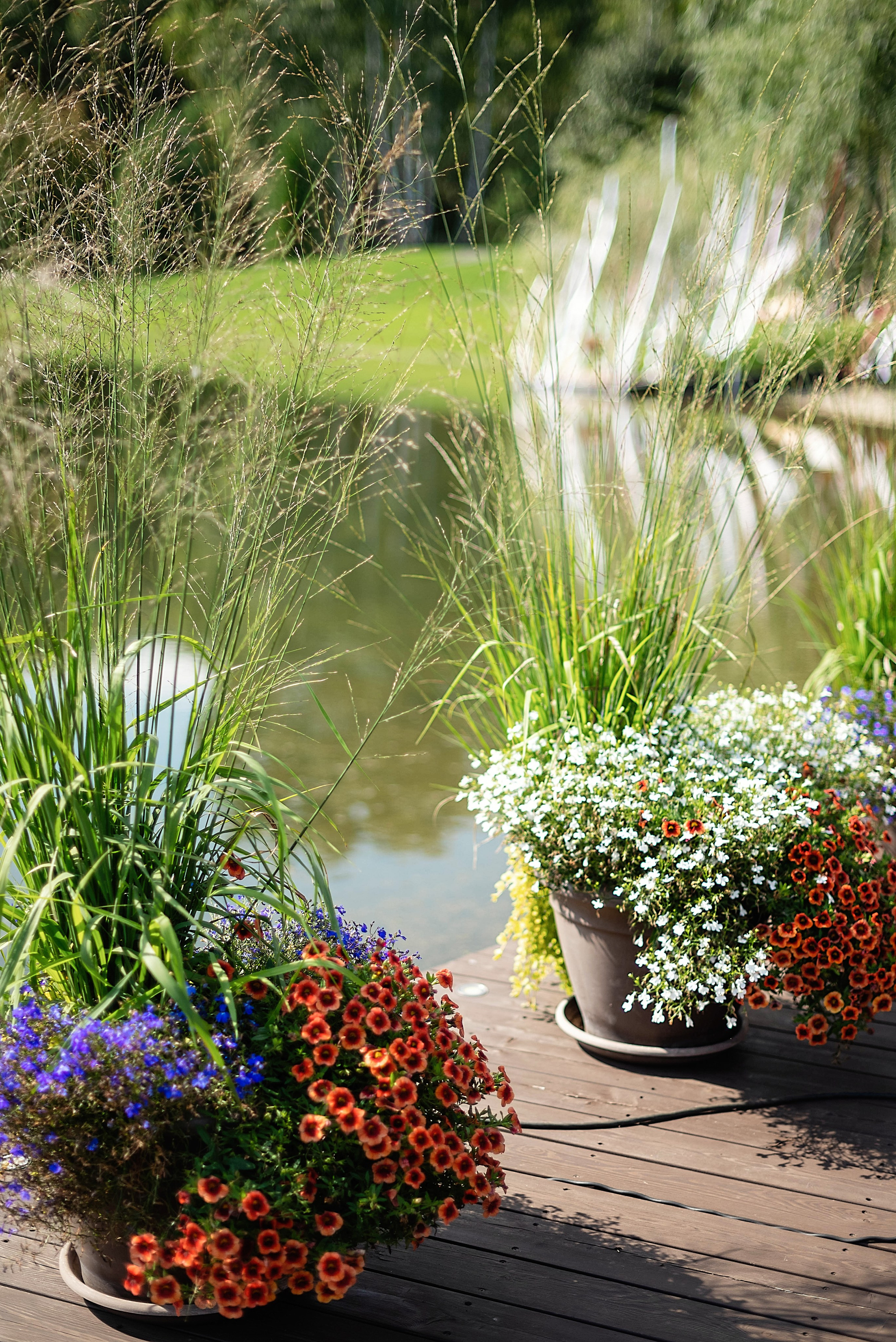 В стиле свободы. Свадебный и семейный фотограф в Новосибирске, Санкт-Петербурге, Москве
