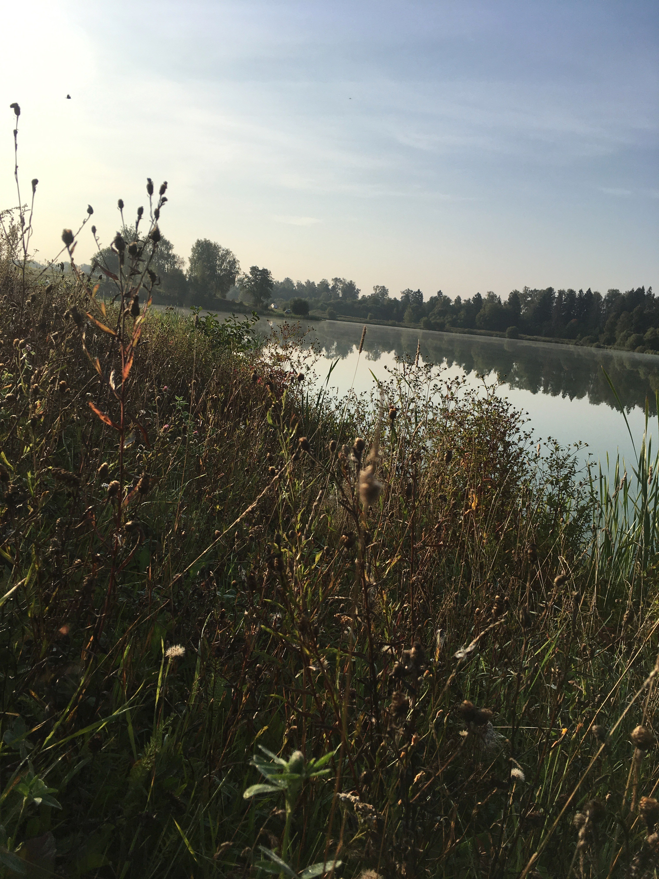 Молоди-19. Своя Мастерская