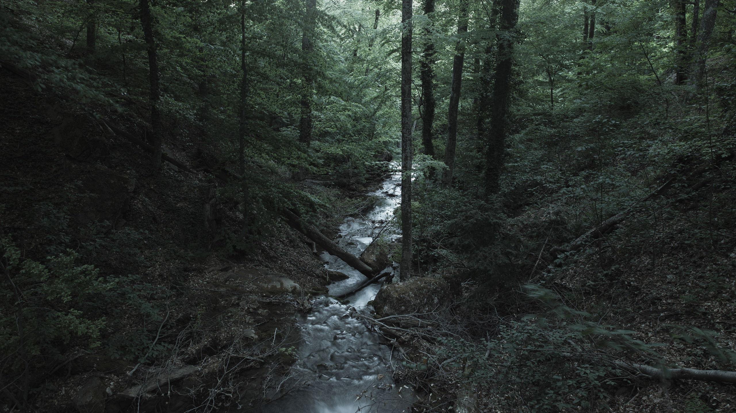 Nature. Артем Корнев Фотограф