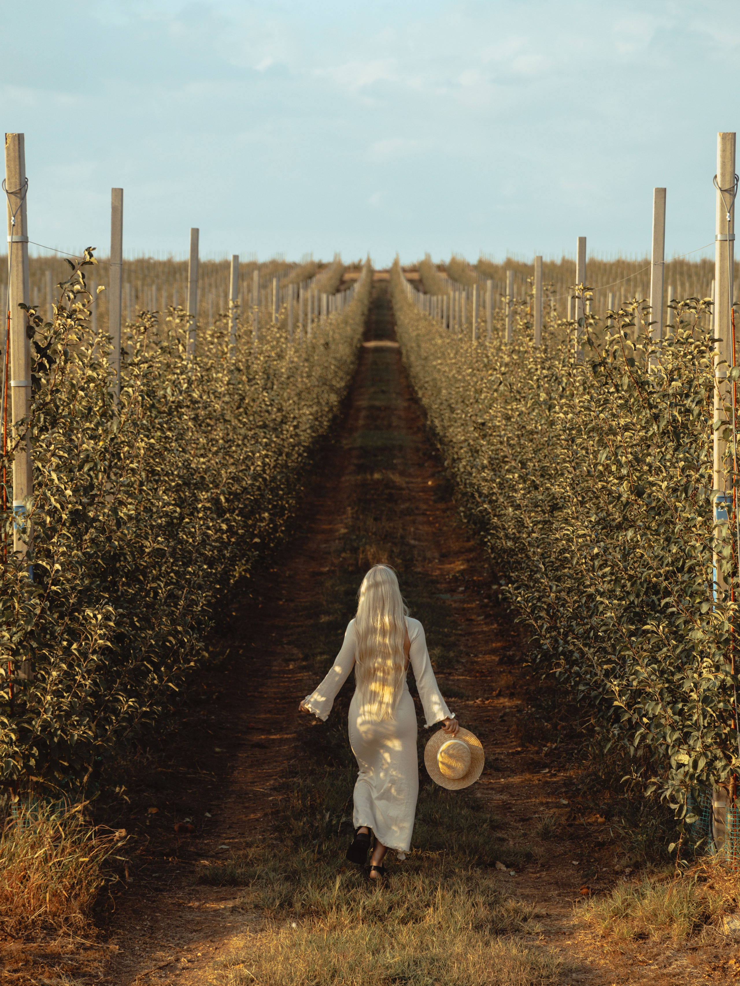 Domik в саду. Артем Корнев Фотограф