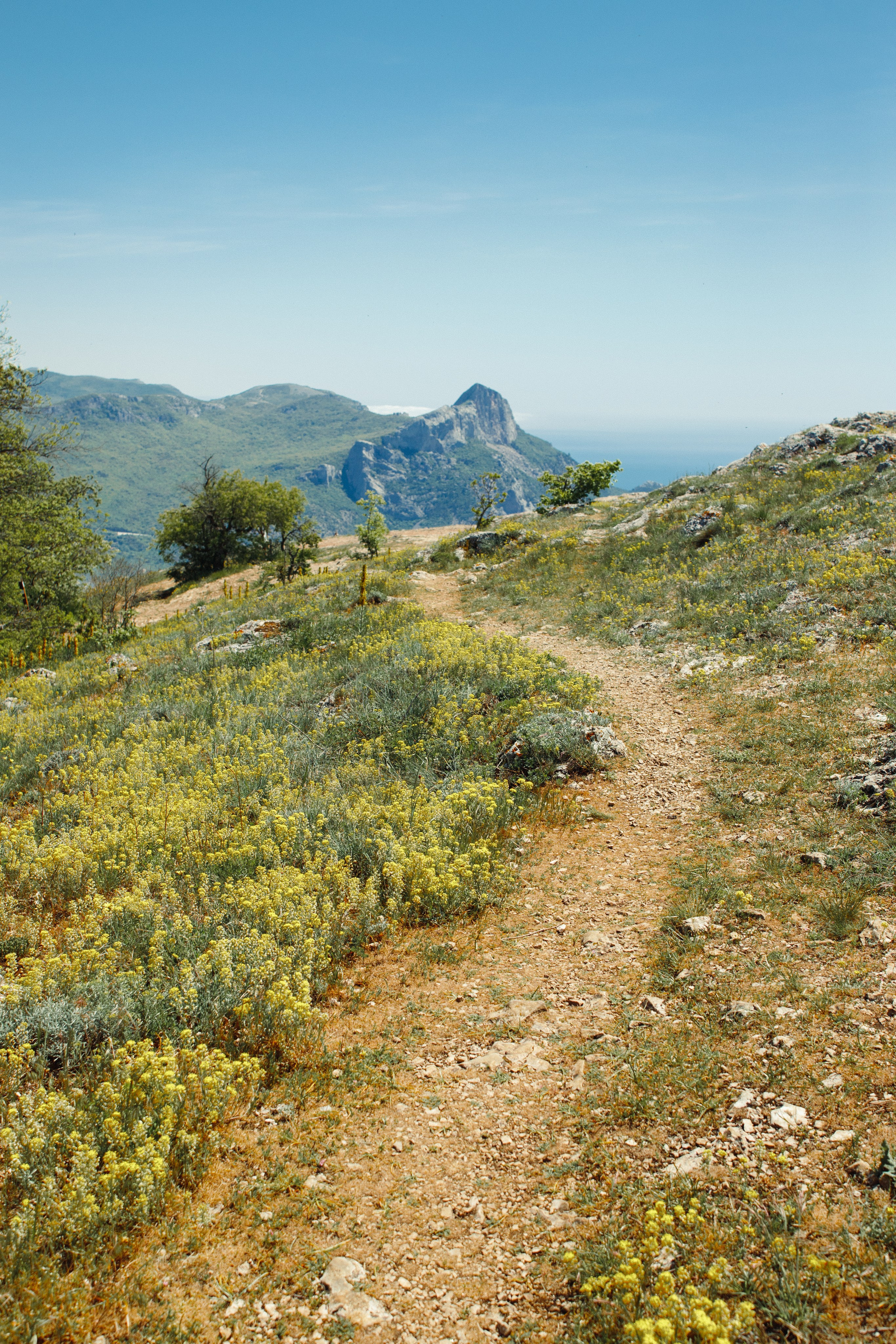 Nature. Артем Корнев Фотограф