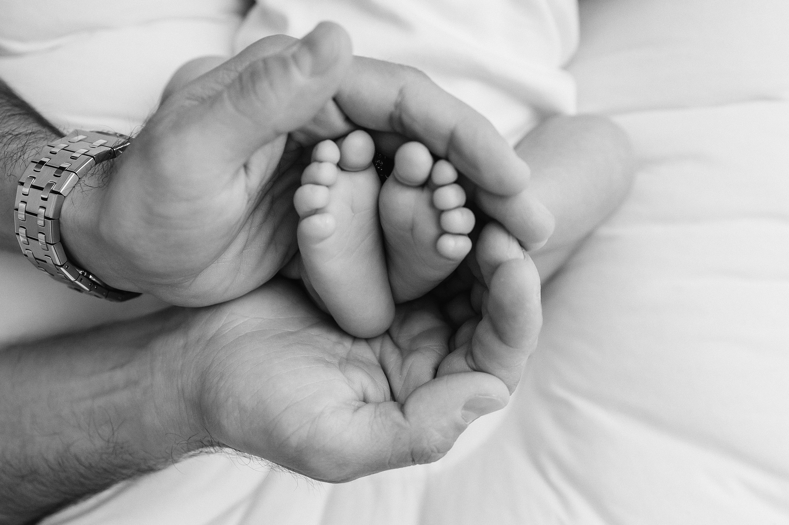 ПАКЕТ «Simple». Главная