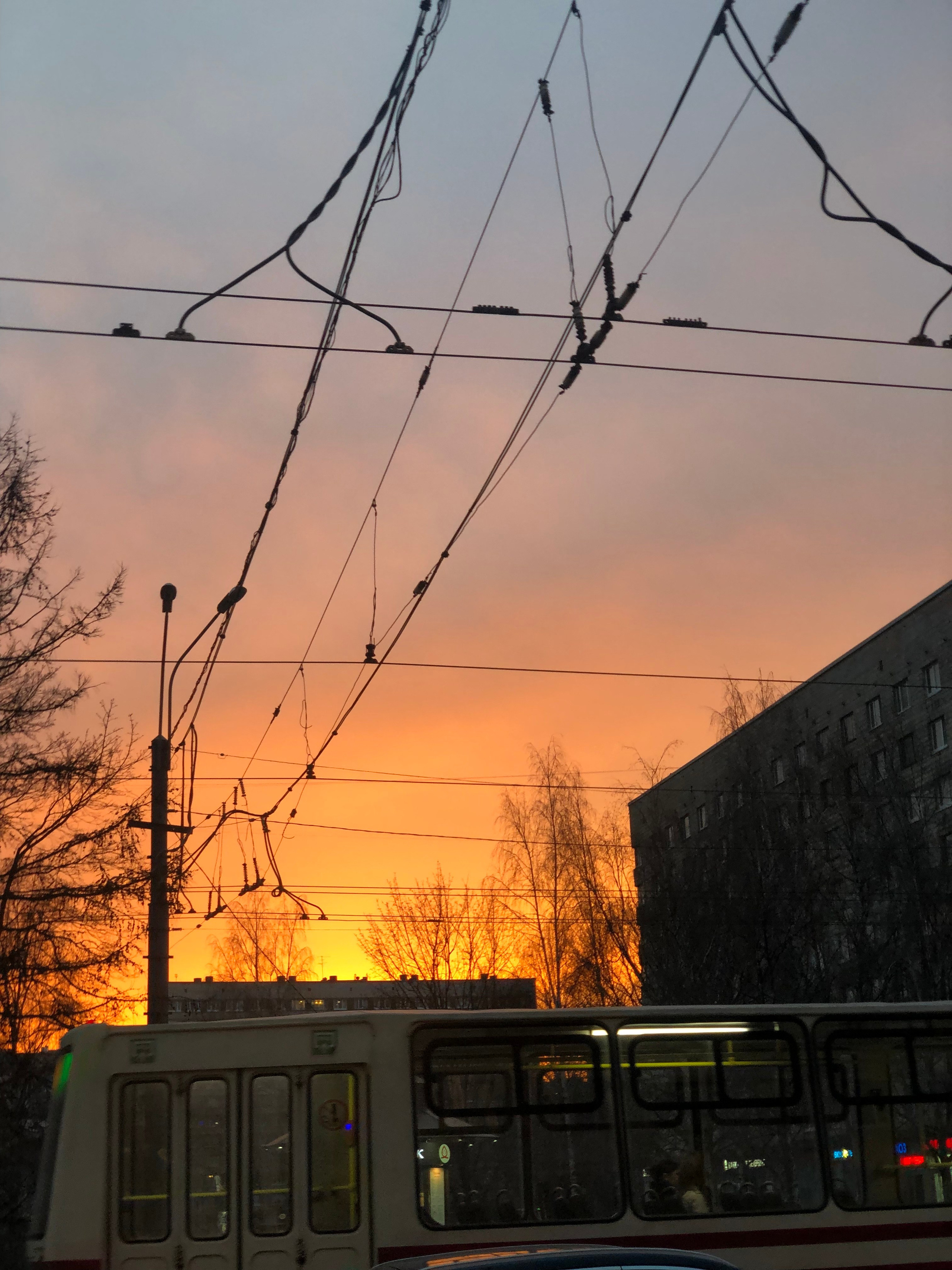 Апрель. Семейный, Свадебный фотограф СПБ Питер— Романова Екатерина