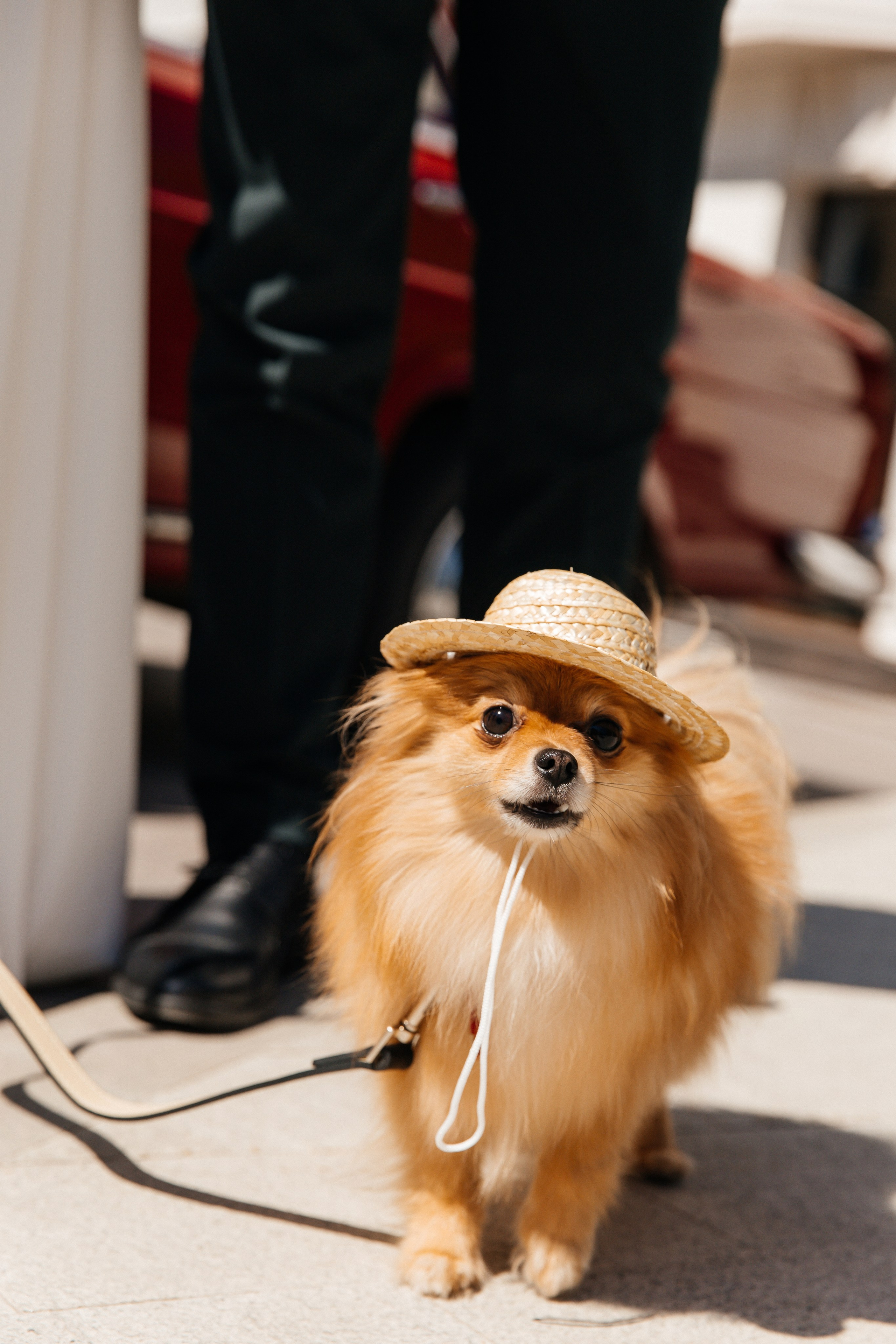 Елизавета и Леонид. Свадебный и семейный фотограф Егорова Юлия