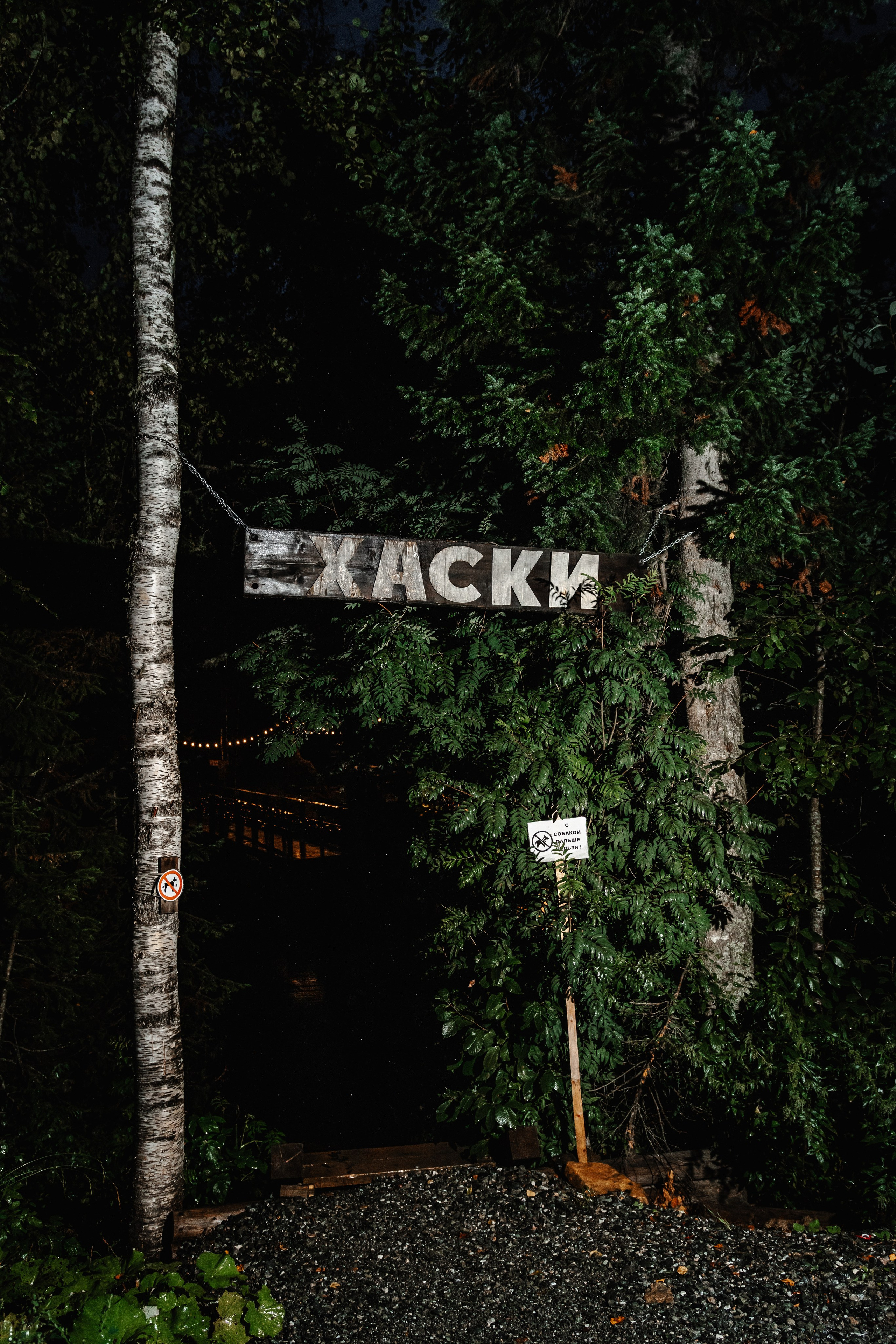 Дог-треккинг