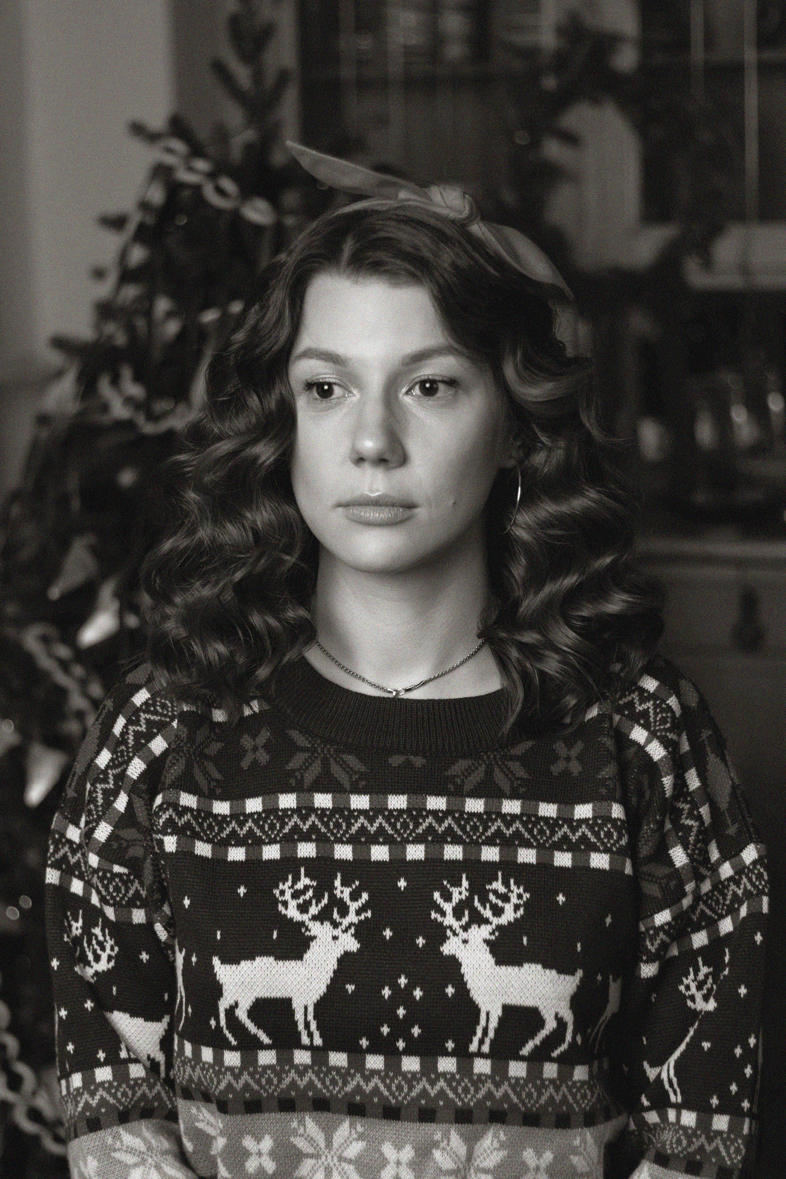 Новогодние собаки. Фотограф в Санкт-Петербурге Рейдер Дарья